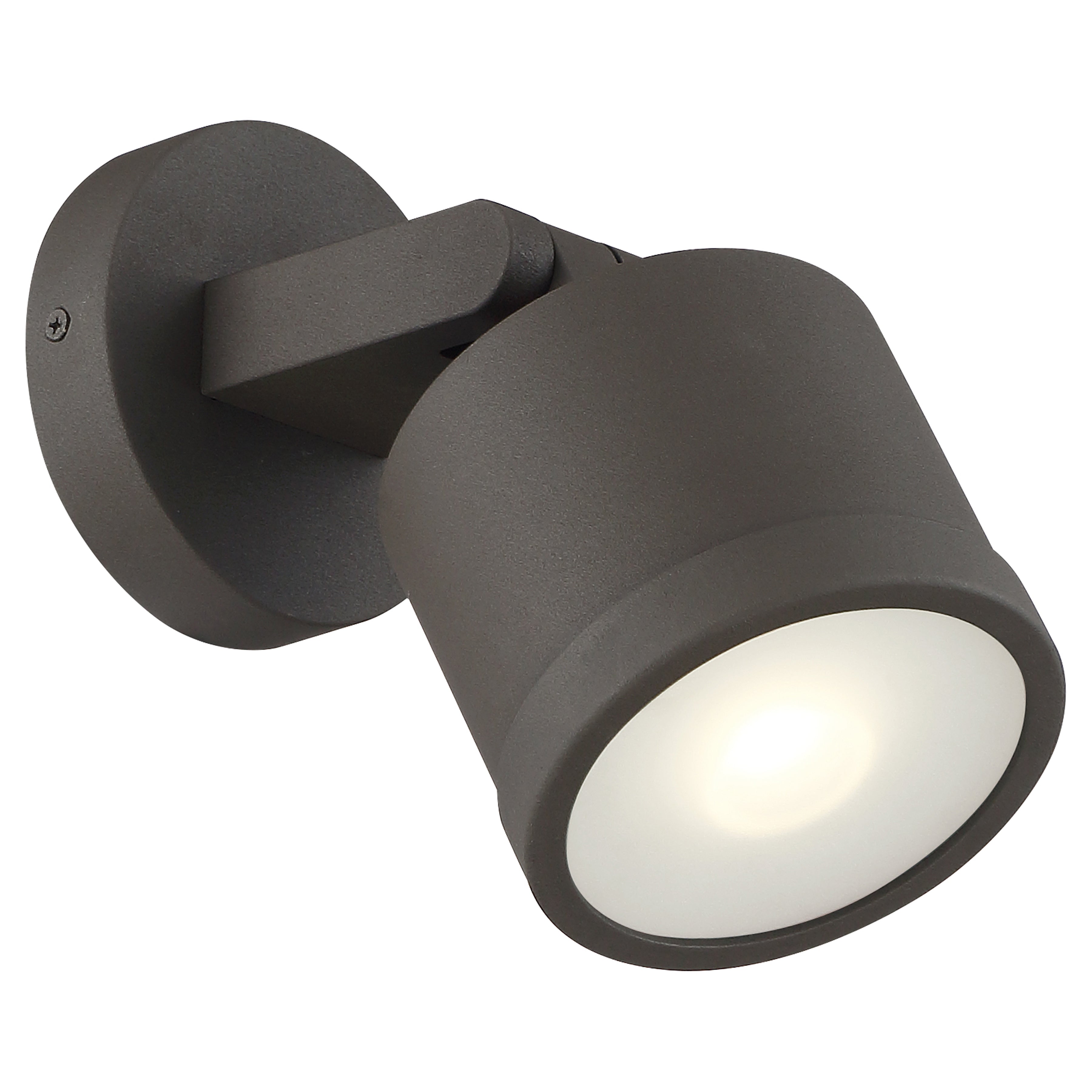 bronze outdoor adjustable light