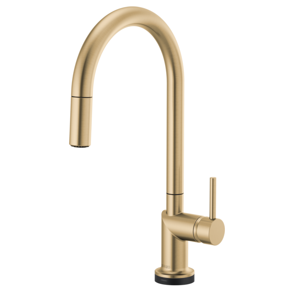 luxe gold pull-down faucet