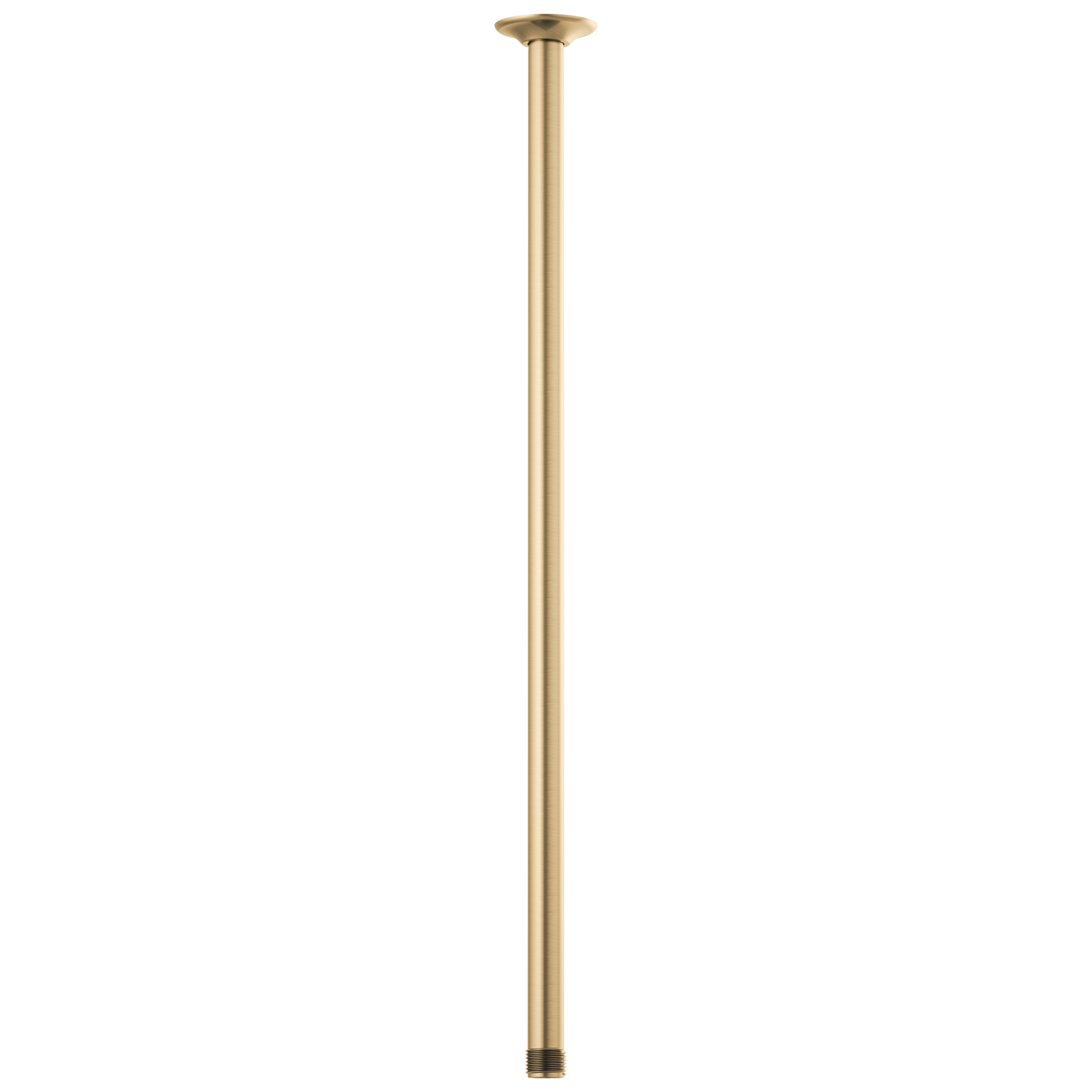 Brizo Universal Showering 24" Ceiling Mount Shower Arm And Round Flange