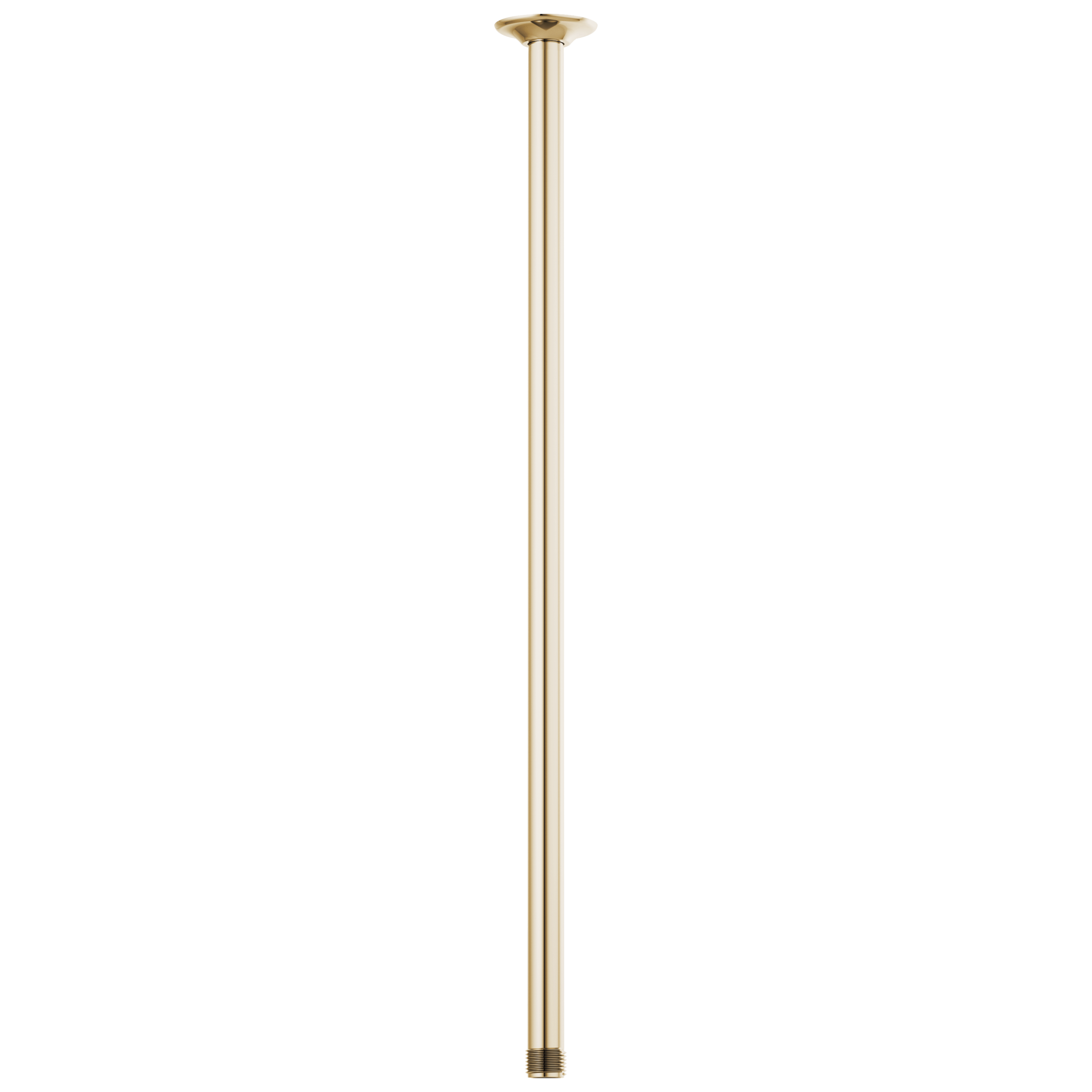 Brizo Universal Showering 24" Ceiling Mount Shower Arm And Round Flange
