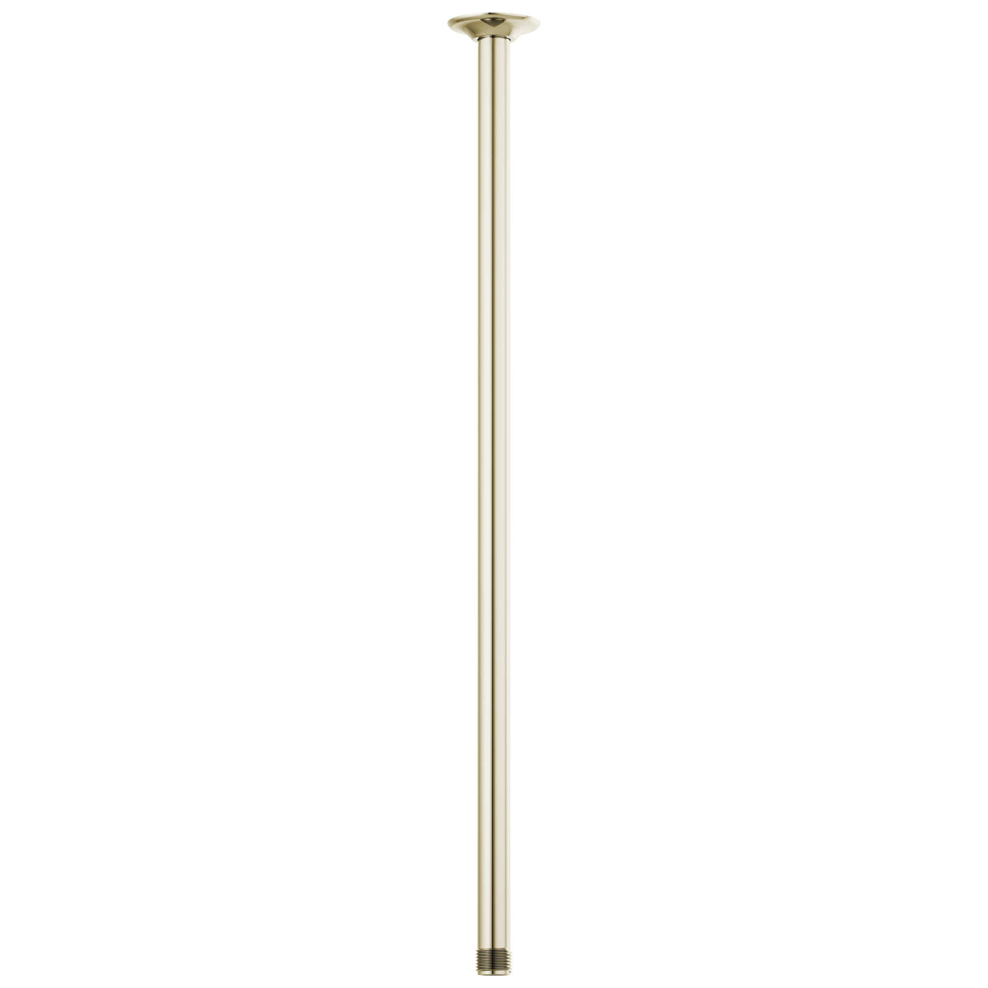Brizo Universal Showering 24" Ceiling Mount Shower Arm And Round Flange