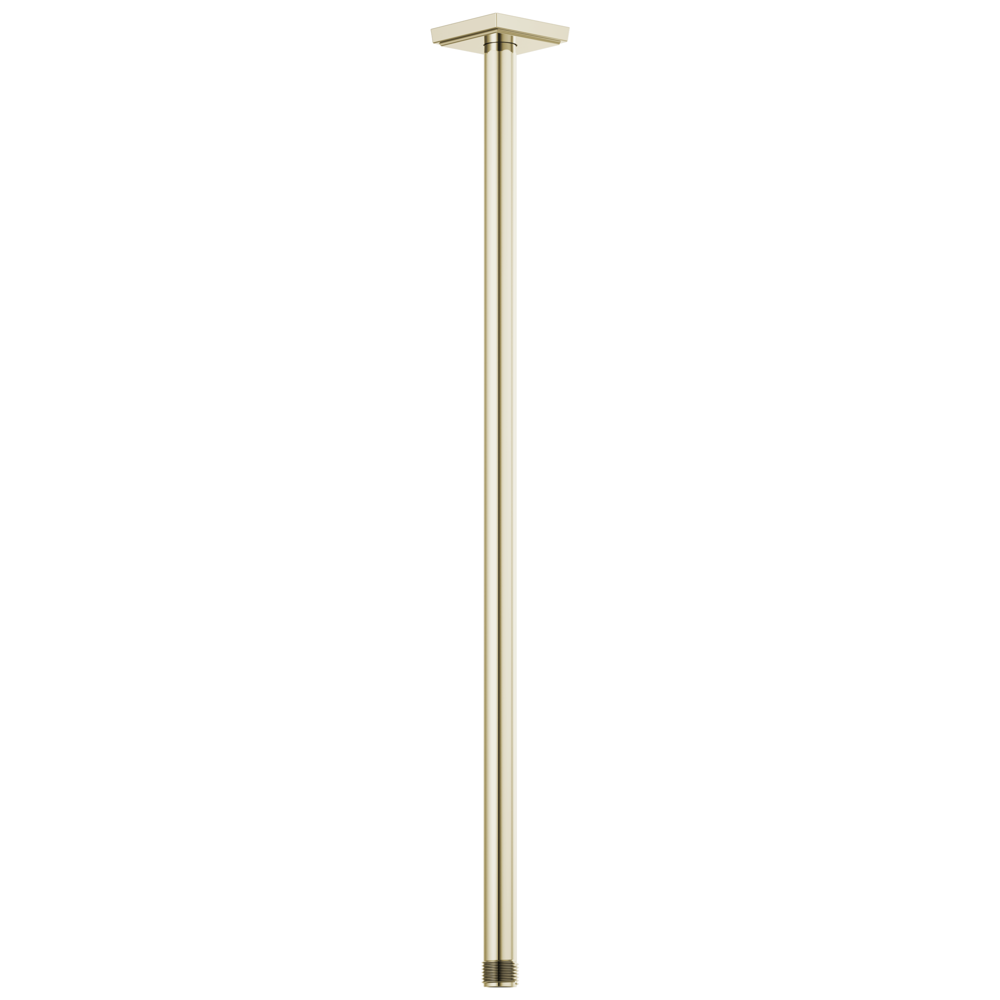 polished nickel shower arm and flange