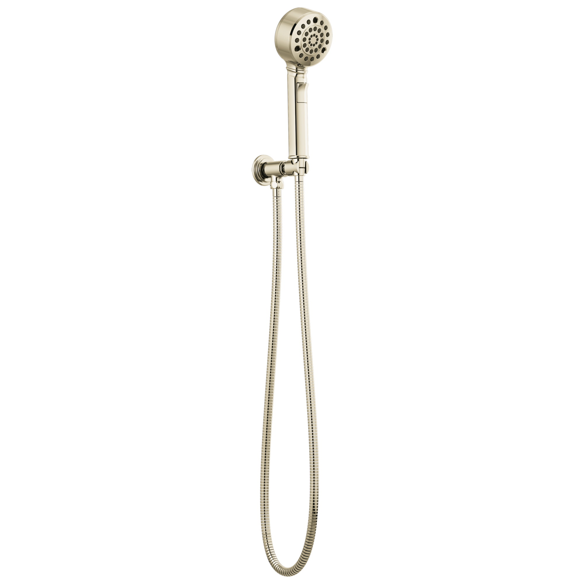 Brizo Invari H2Okinetic Multi-Function Wall Mount Handshower