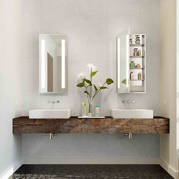 mirrored cabinet