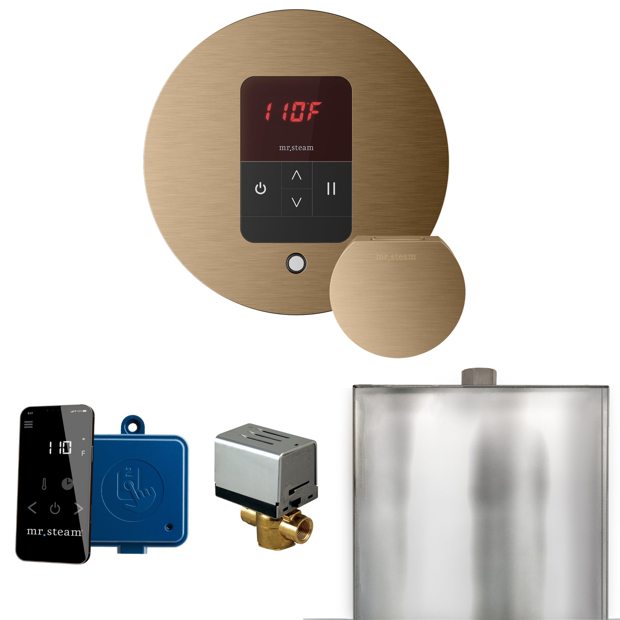 Mr Steam Basic Butler Steam Shower Control Package with Round iTempo Control and Steamhead