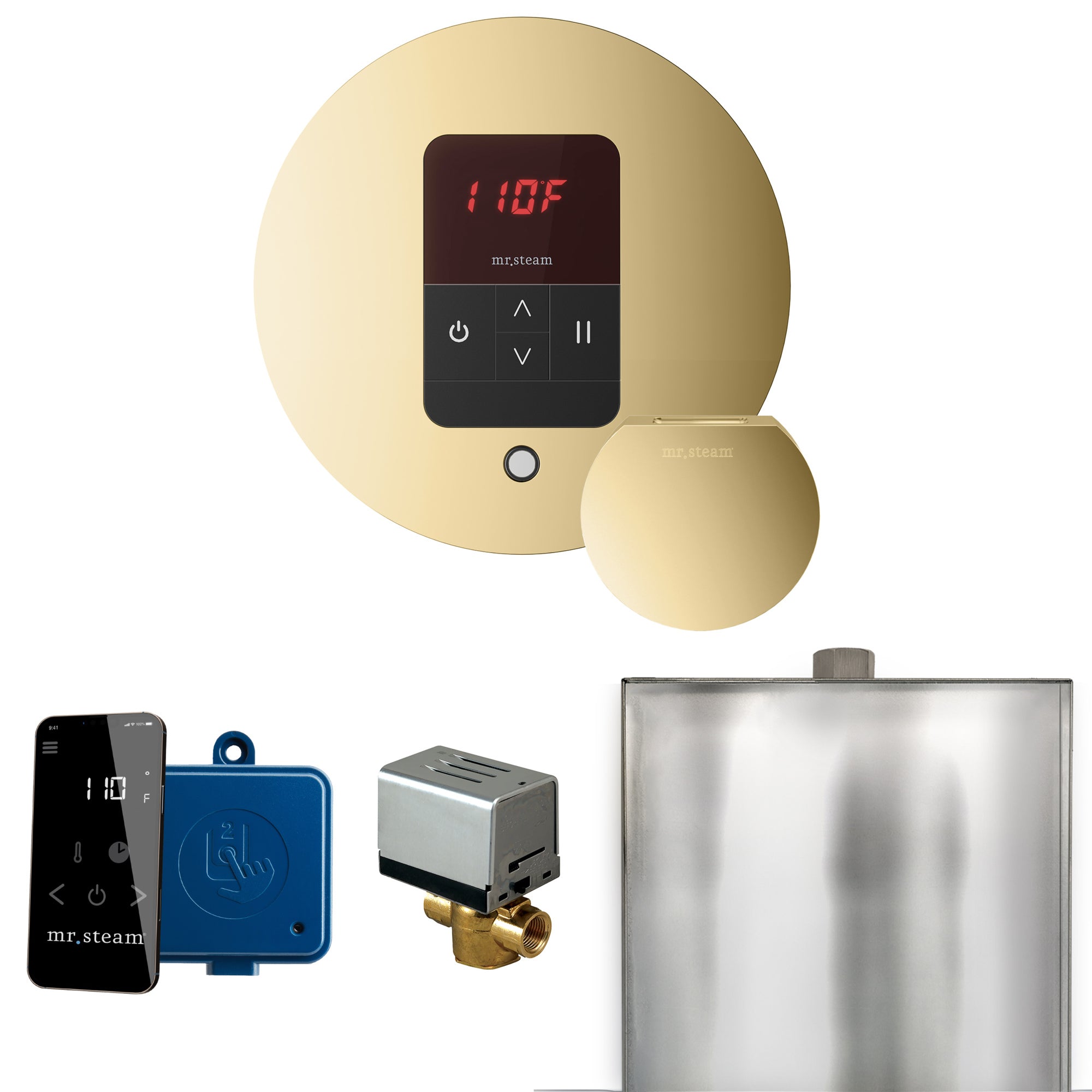 Mr Steam Basic Butler Steam Shower Control Package with Round iTempo Control and Steamhead