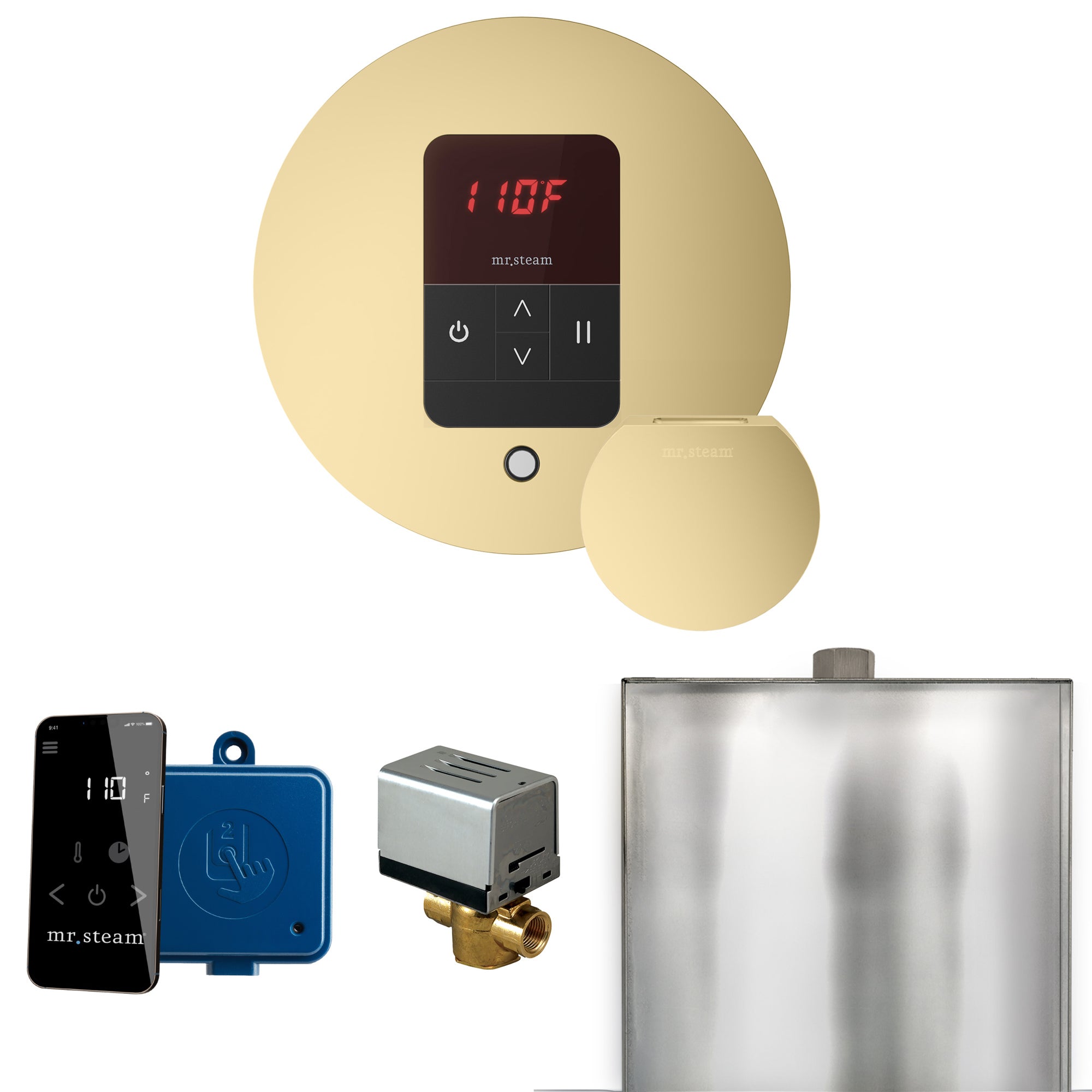 Mr Steam Basic Butler Steam Shower Control Package with Round iTempo Control and Steamhead