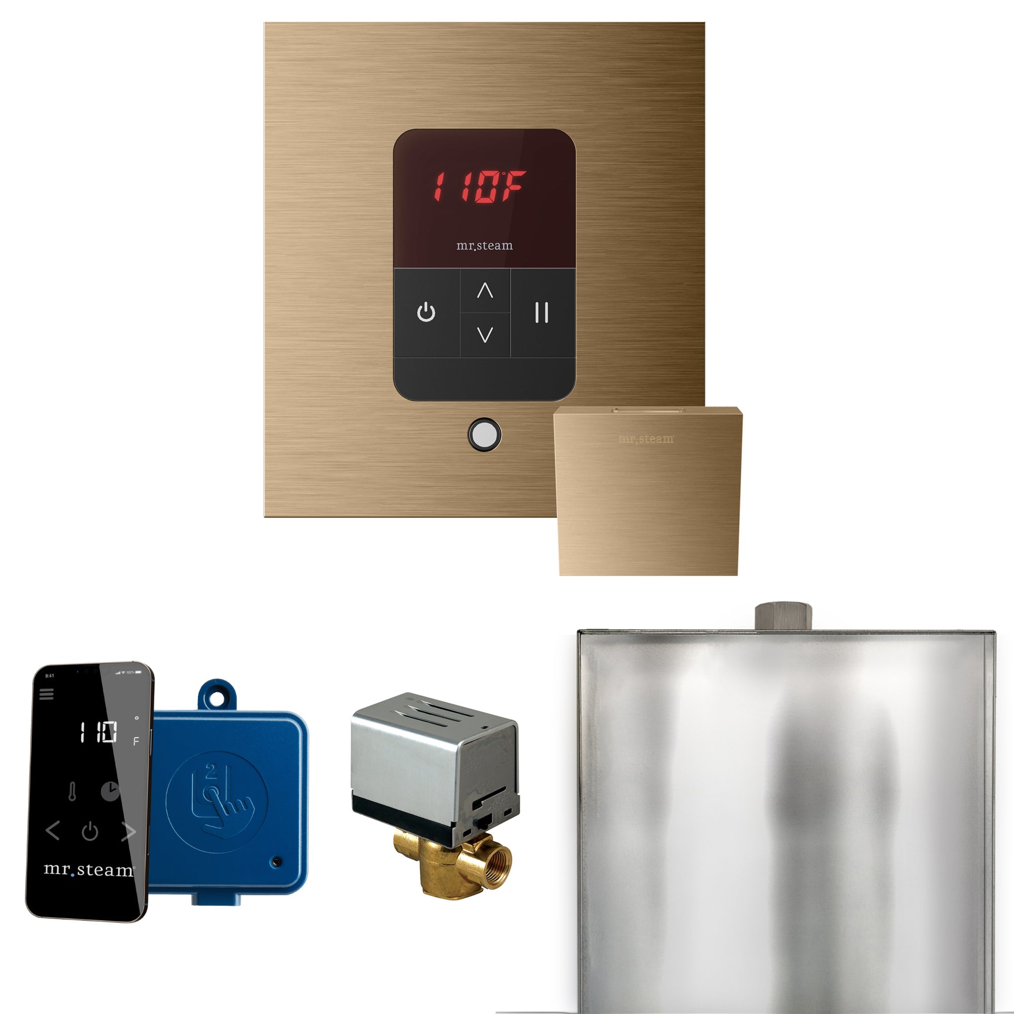 Mr Steam Basic Butler Steam Shower Control Package with Square iTempo Control and Linear Steamhead