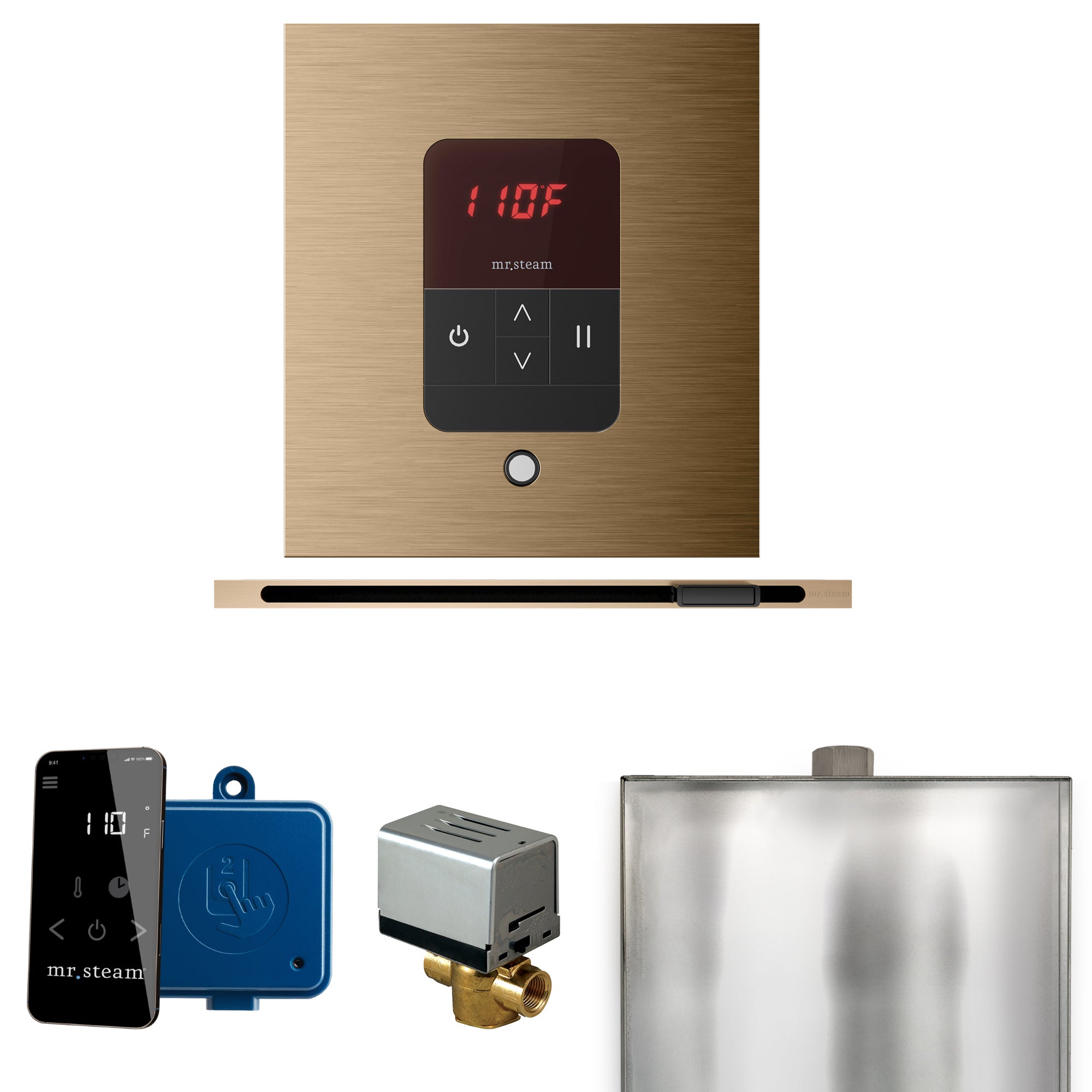 Mr Steam Basic Butler Steam Shower Control Package with Square iTempo Control and Linear Steamhead