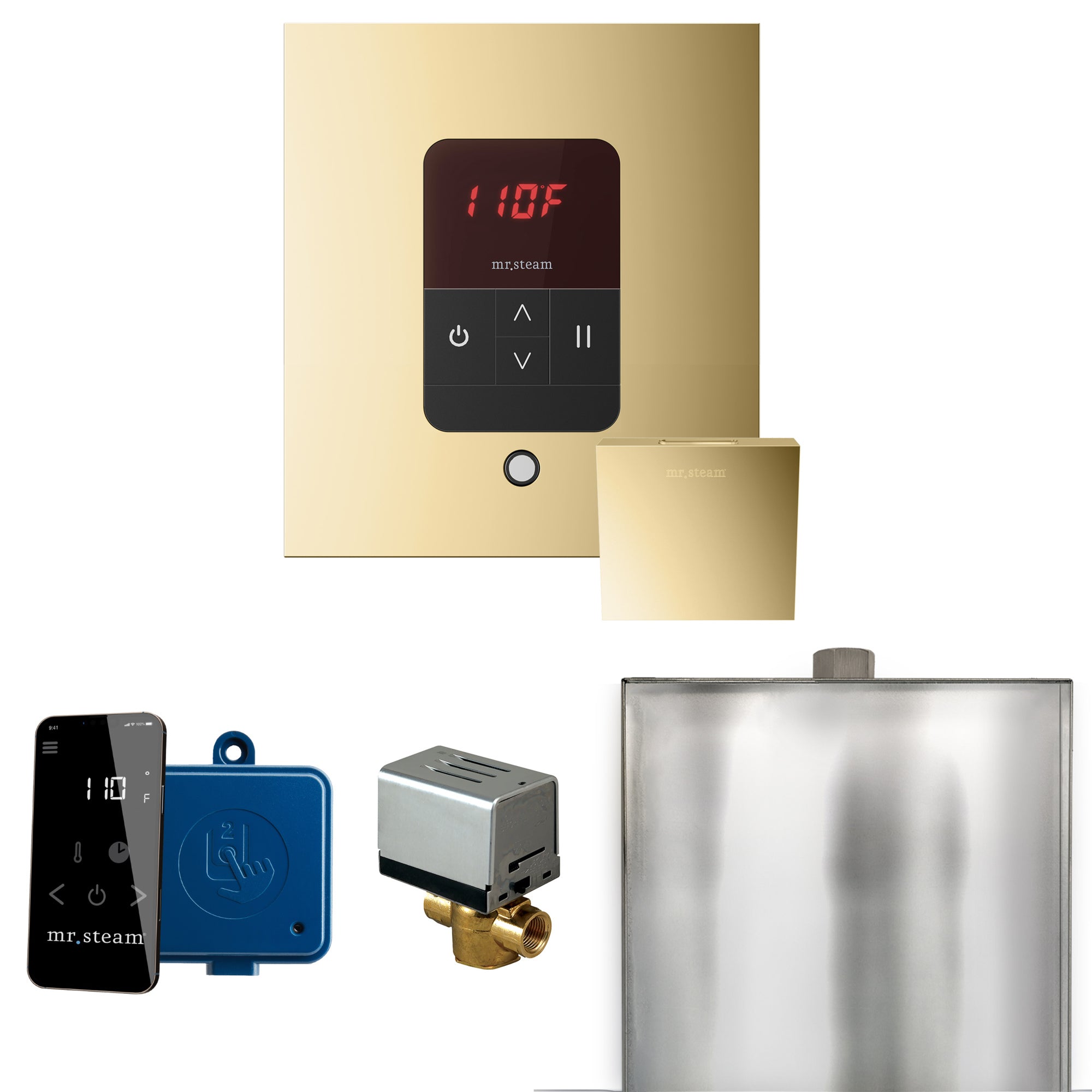Mr Steam Basic Butler Steam Shower Control Package with Square iTempo Control and Linear Steamhead