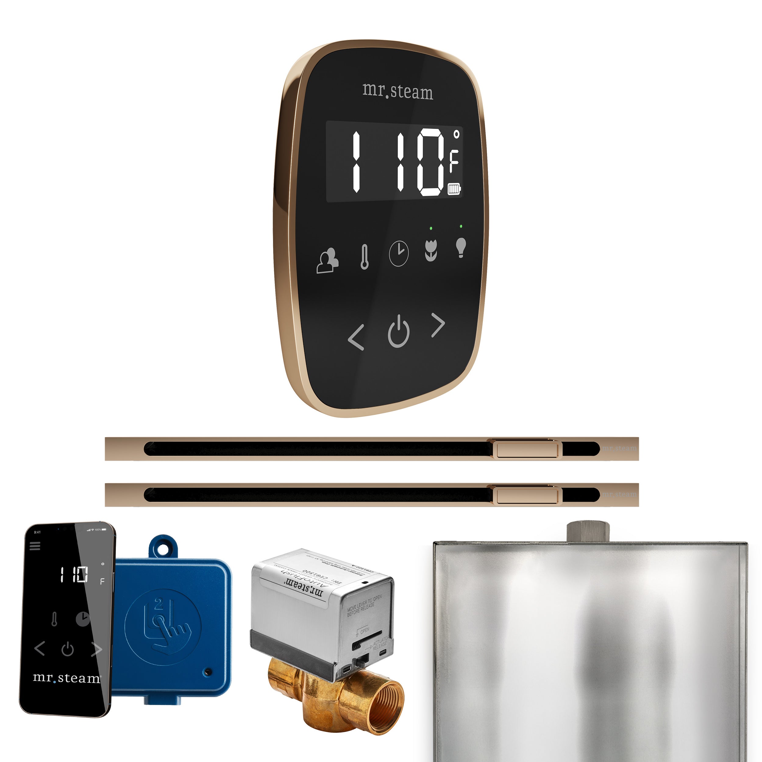 Mr Steam ButlerFlex Max Steam Shower Control Package with TempoFlex Control and Linear Steamhead