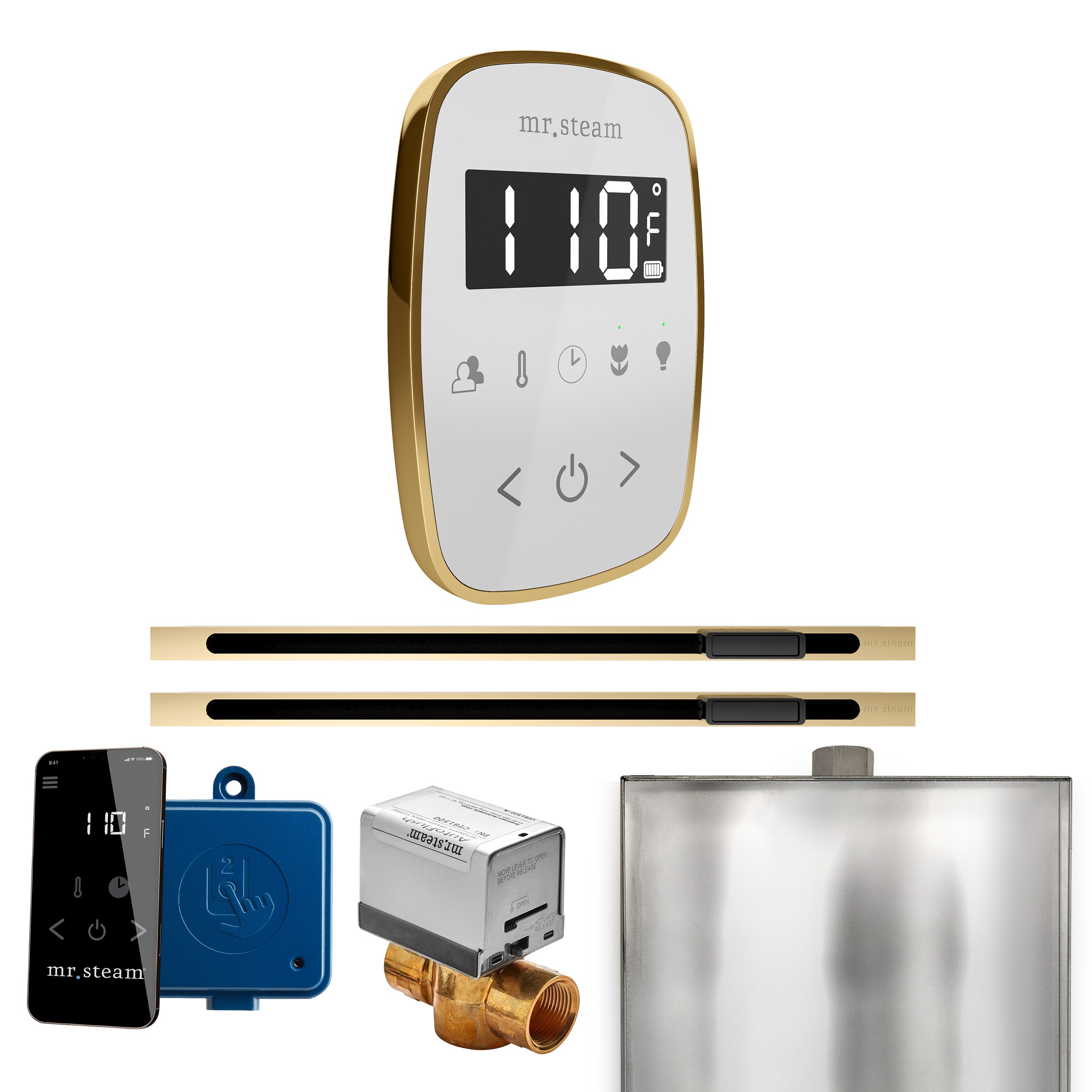 Mr Steam ButlerFlex Max Steam Shower Control Package with TempoFlex Control and Linear Steamhead