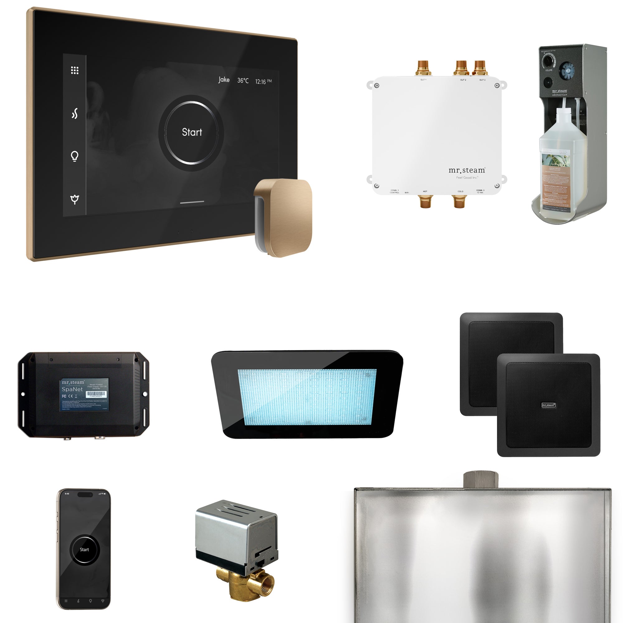 Mr Steam Bliss Steam Shower Control Package with iSteamX Control and Steamhead