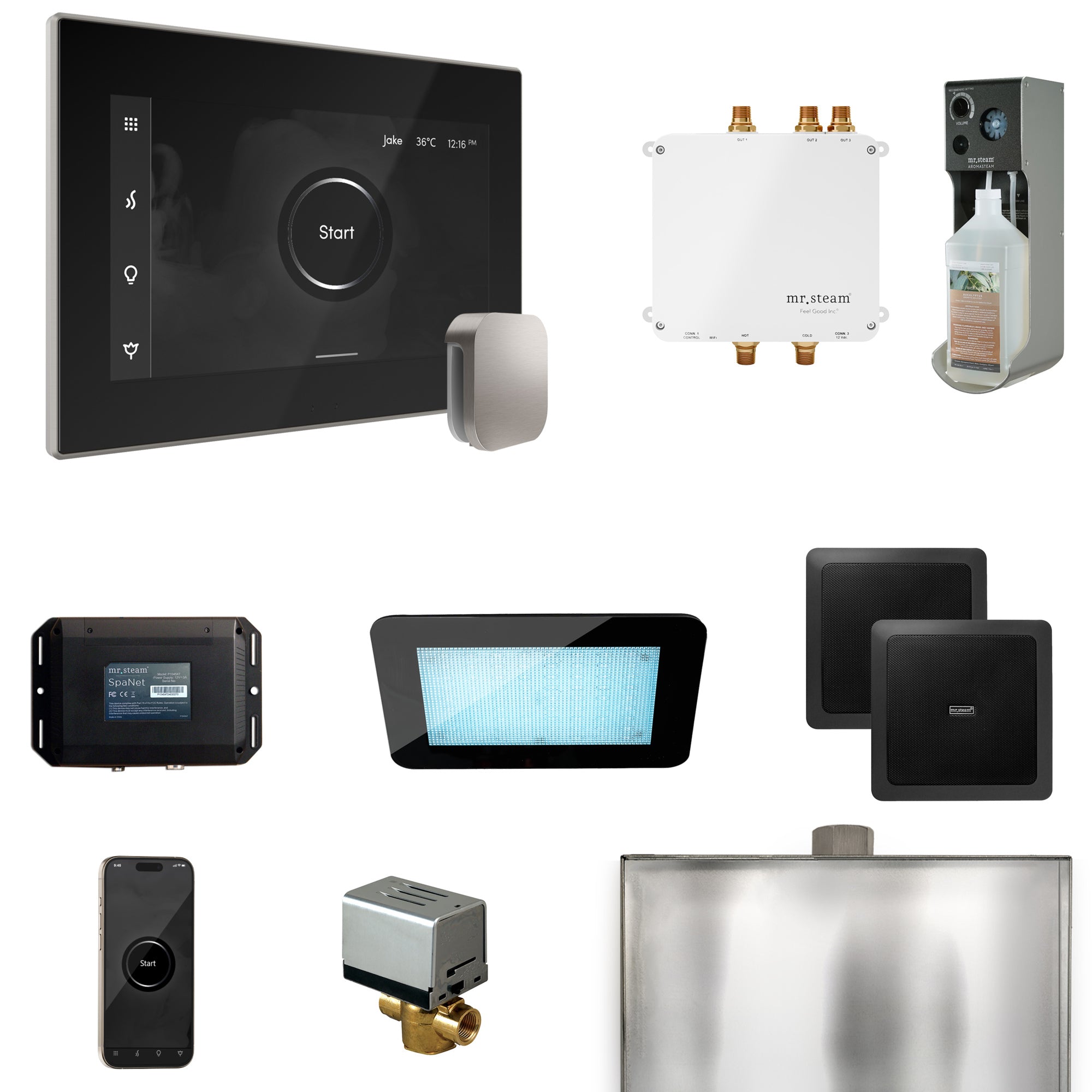 Mr Steam Bliss Steam Shower Control Package with iSteamX Control and Steamhead