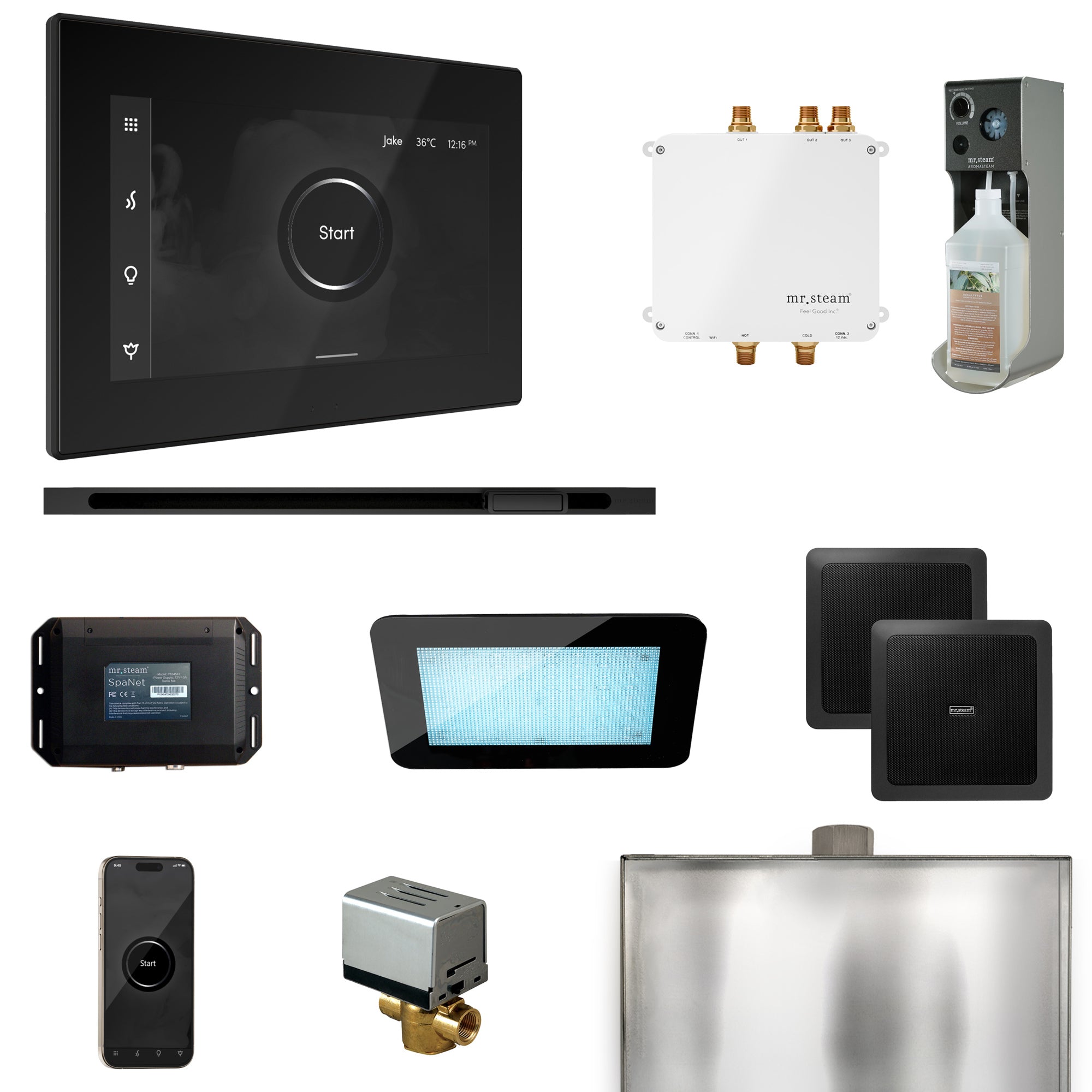 Mr Steam Bliss Steam Shower Control Package with iSteamX Control and Linear Steamhead