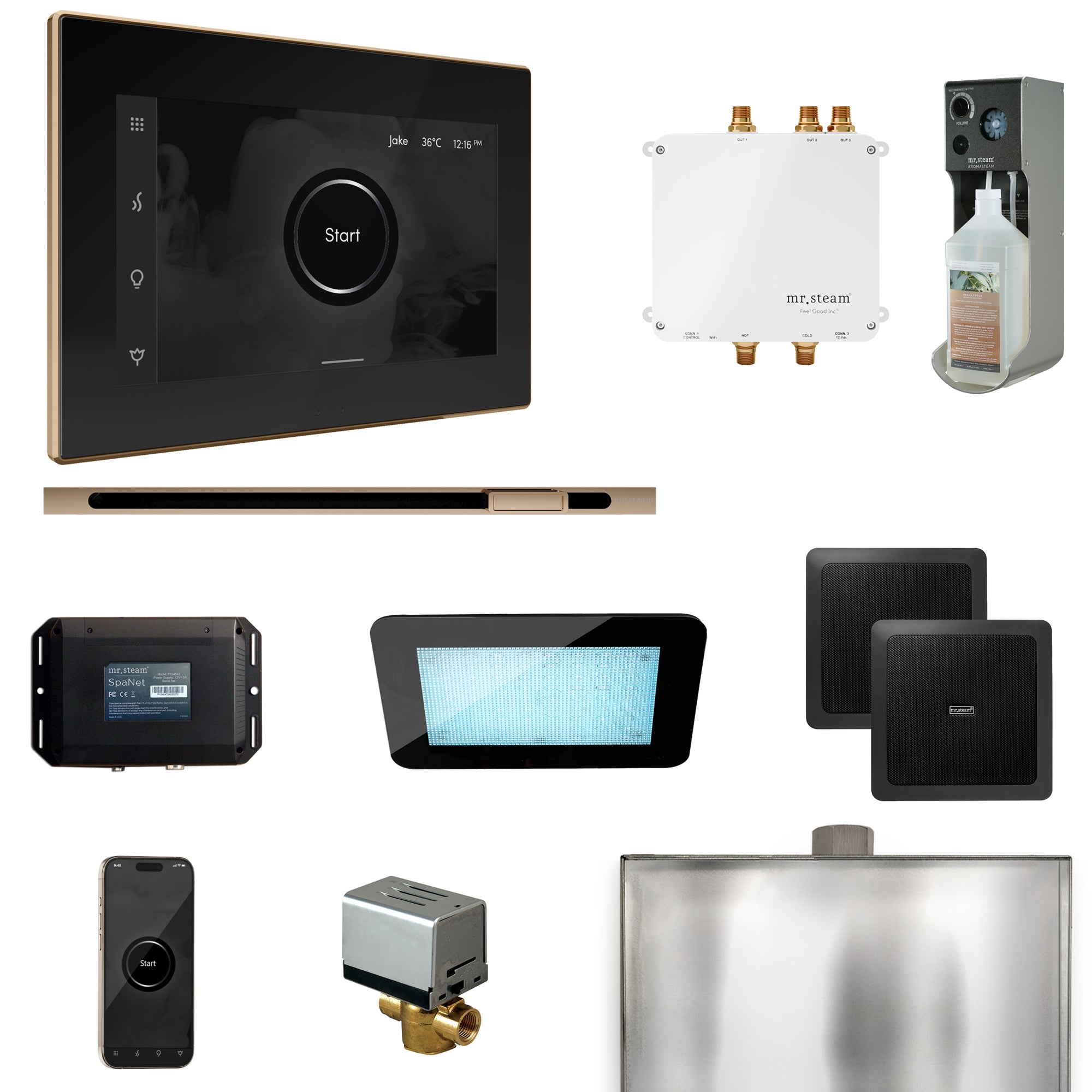 Mr Steam Bliss Steam Shower Control Package with iSteamX Control and Linear Steamhead