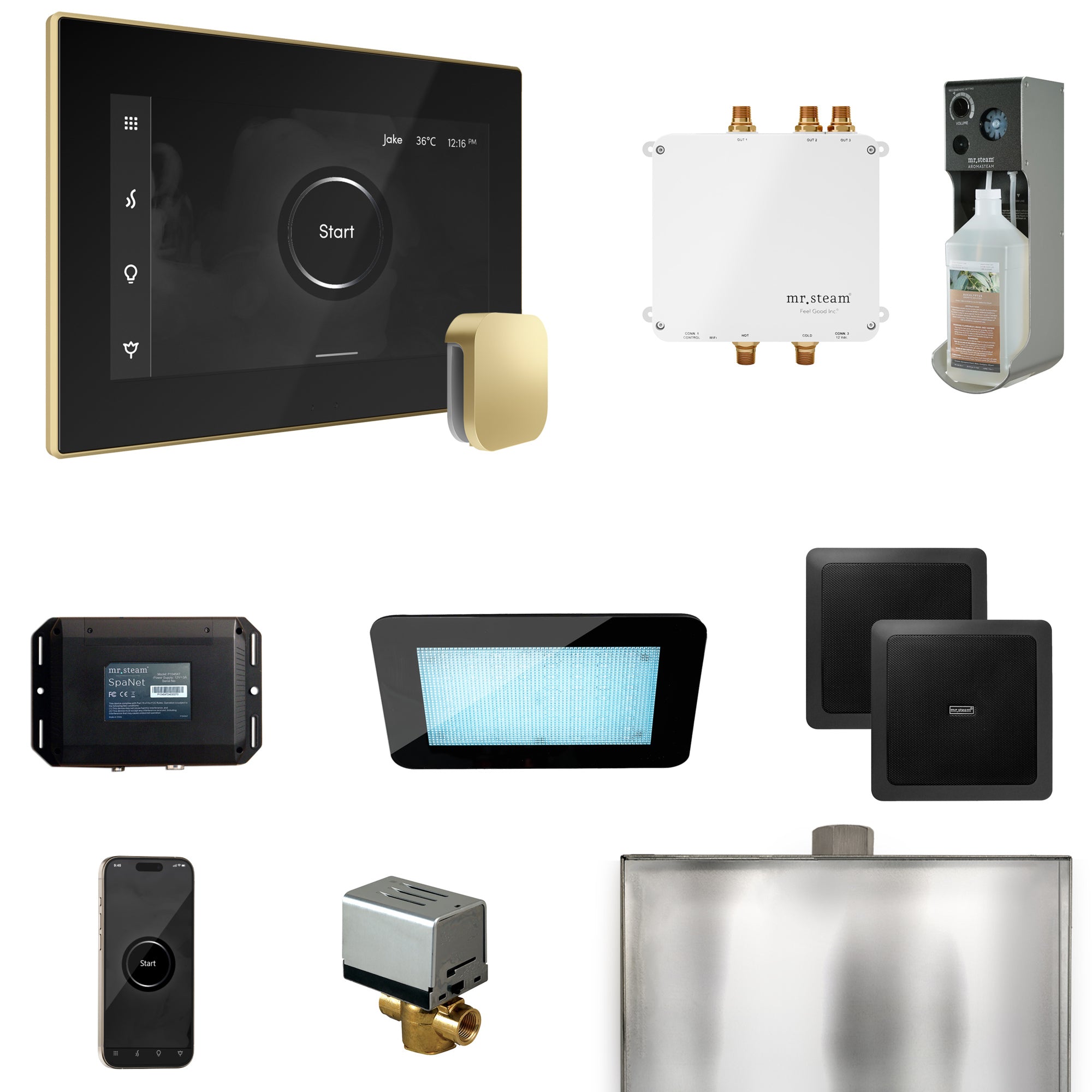 Mr Steam Bliss Steam Shower Control Package with iSteamX Control and Steamhead