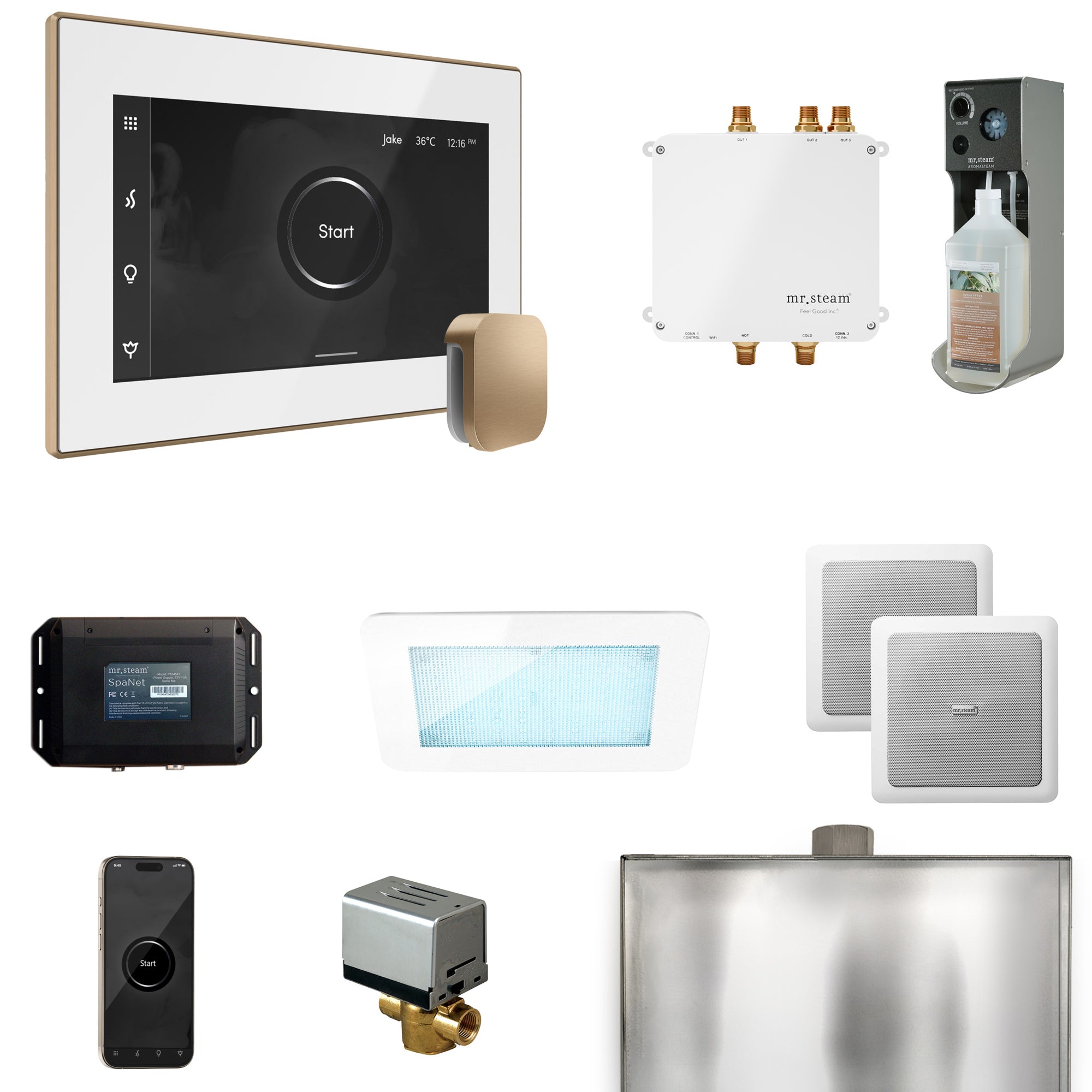 Mr Steam Bliss Steam Shower Control Package with iSteamX Control and Steamhead