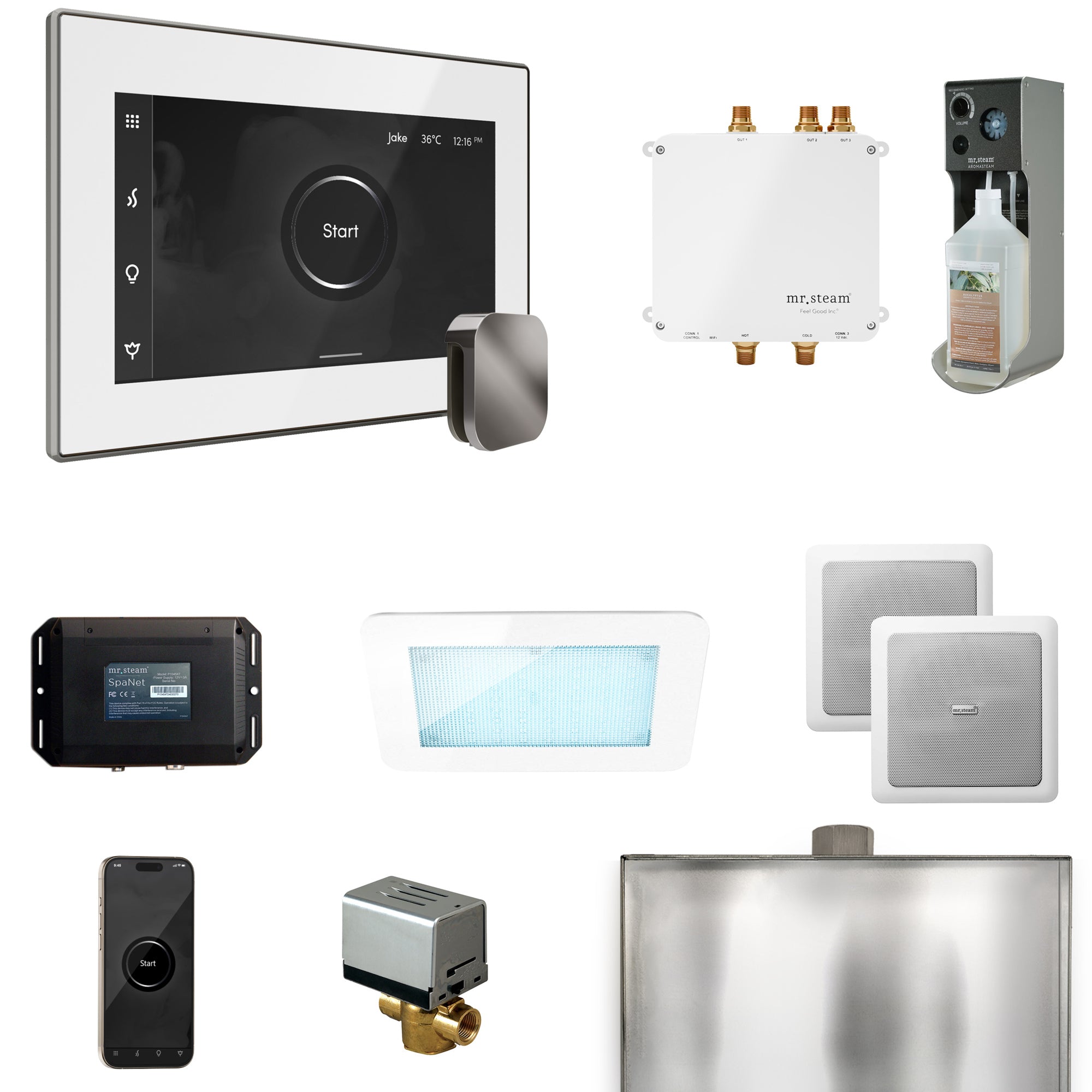 Mr Steam Bliss Steam Shower Control Package with iSteamX Control and Steamhead