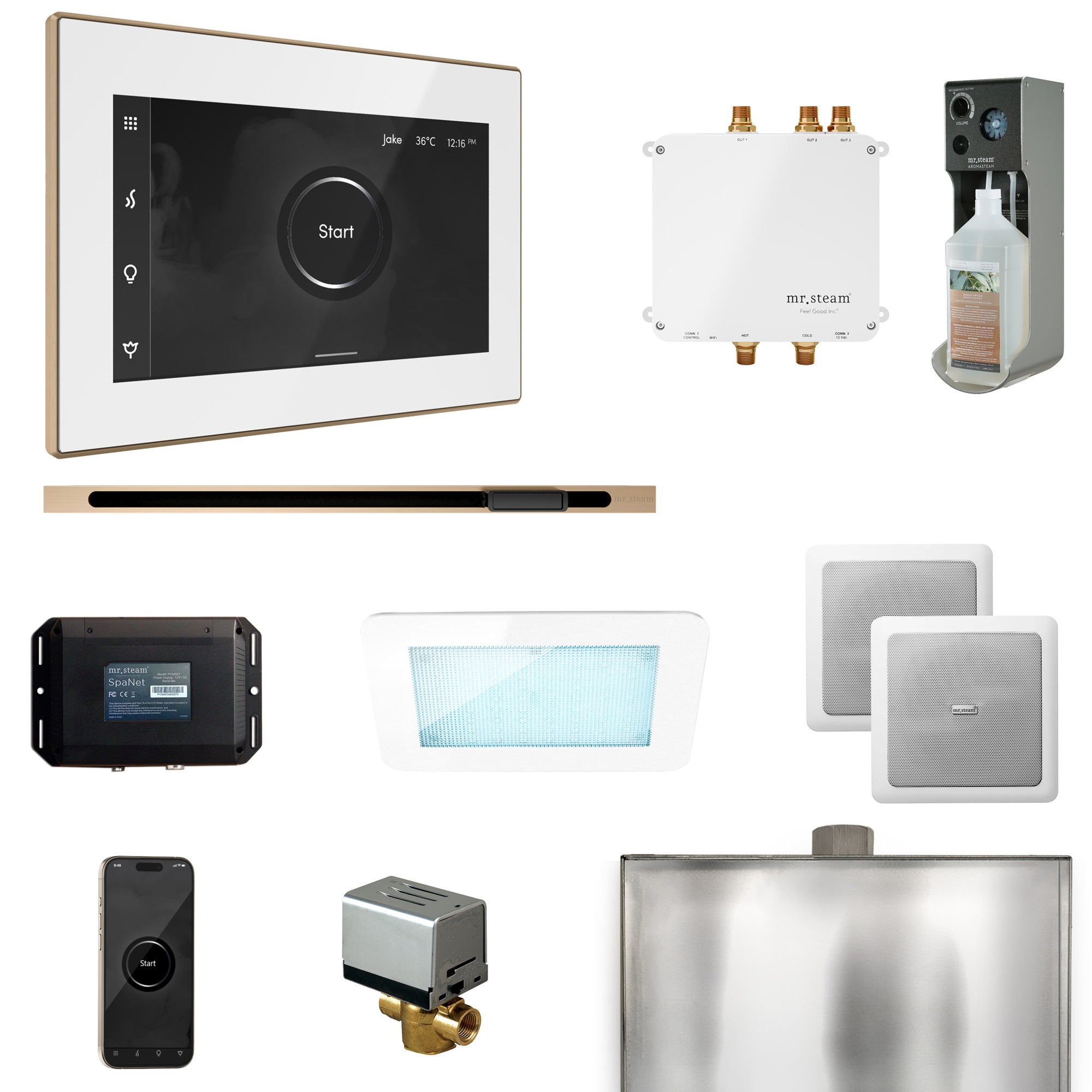 Mr Steam Bliss Steam Shower Control Package with iSteamX Control and Linear Steamhead