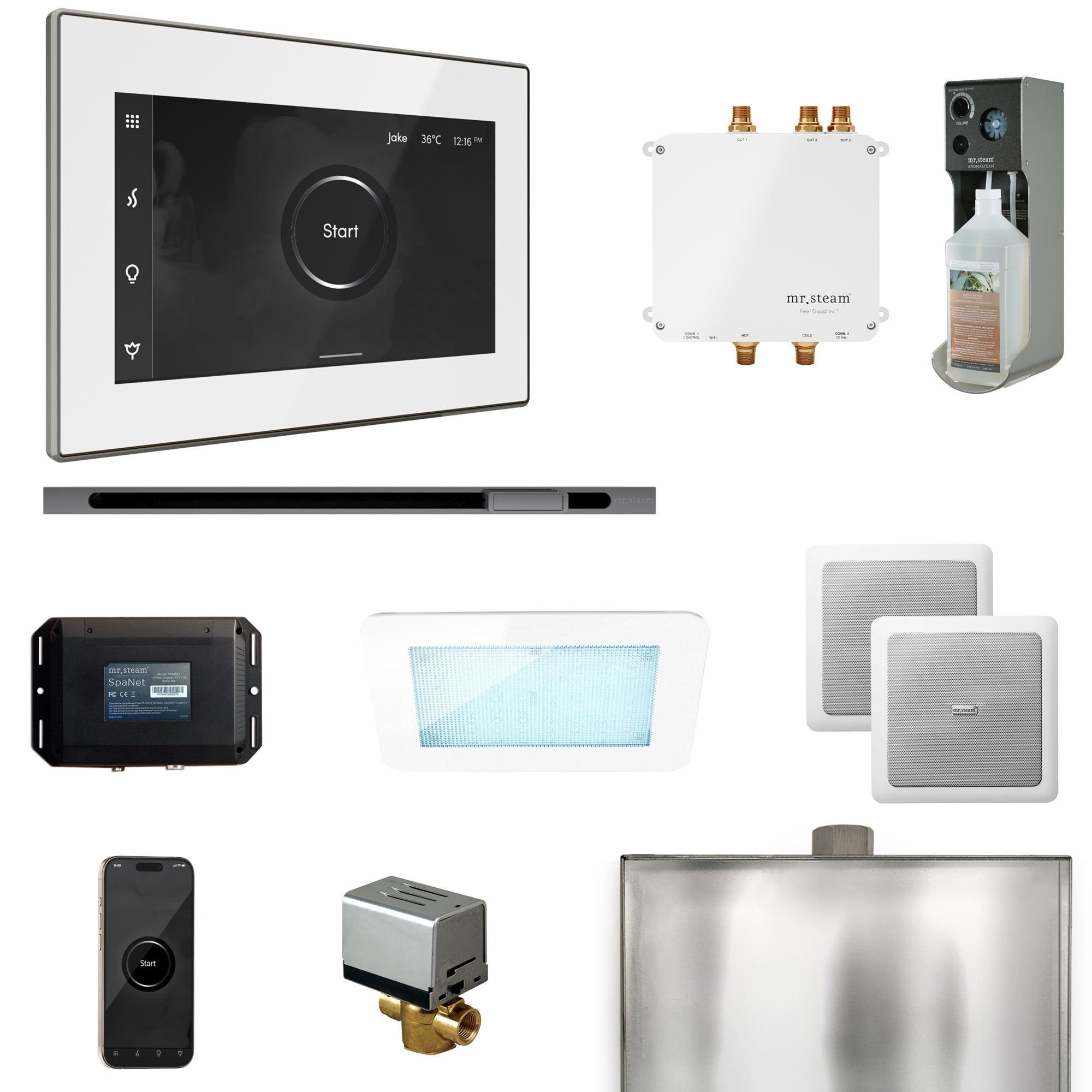 Mr Steam Bliss Steam Shower Control Package with iSteamX Control and Linear Steamhead