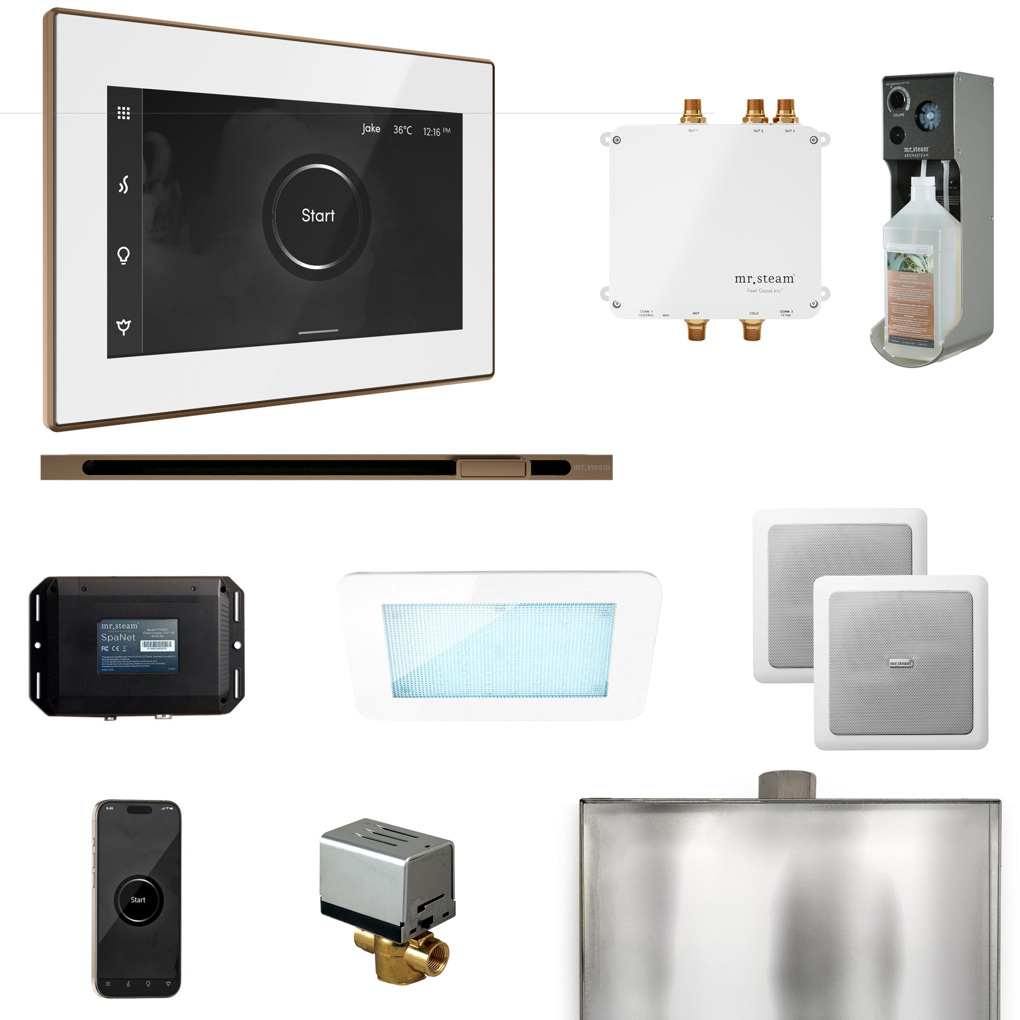 Mr Steam Bliss Steam Shower Control Package with iSteamX Control and Linear Steamhead