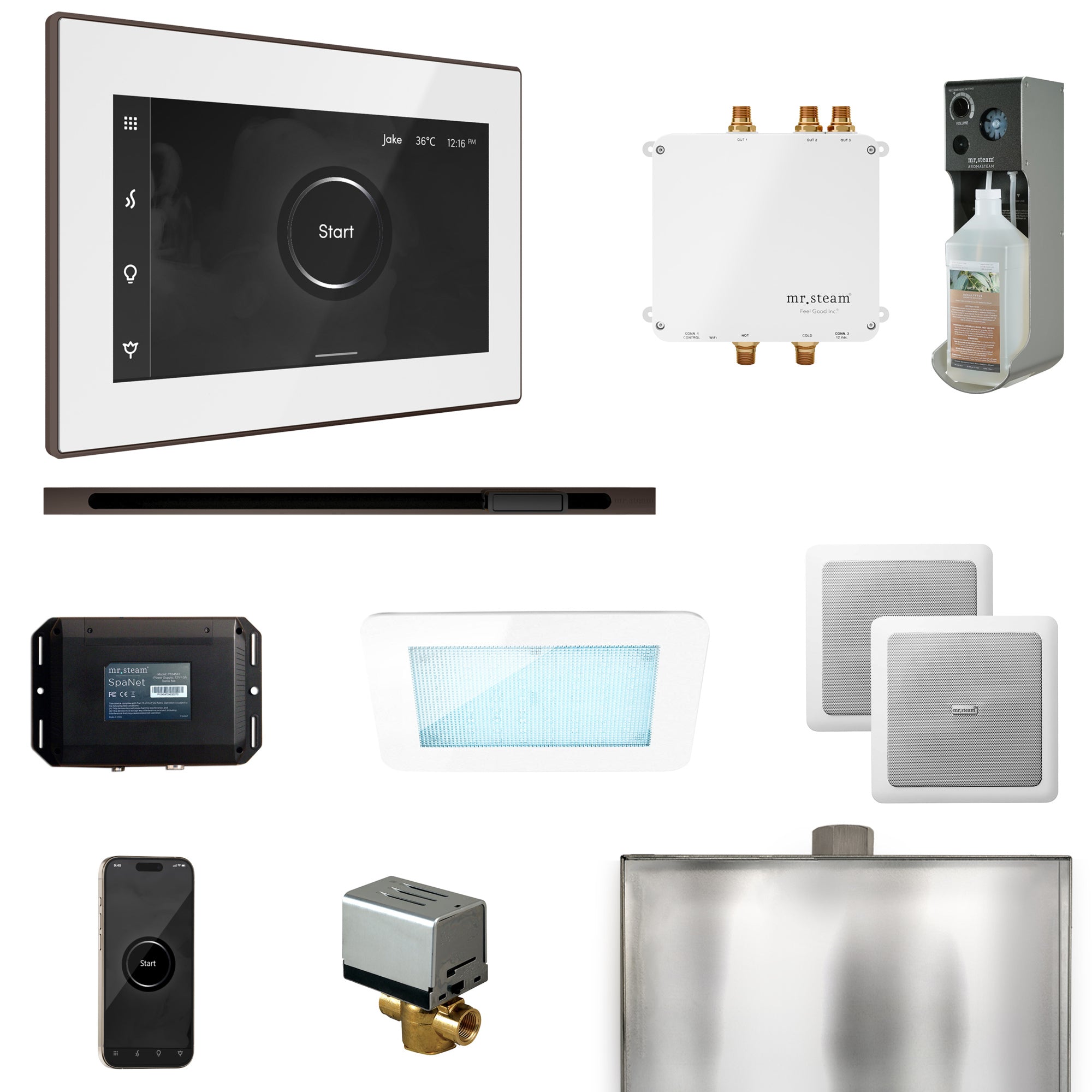 Mr Steam Bliss Steam Shower Control Package with iSteamX Control and Linear Steamhead