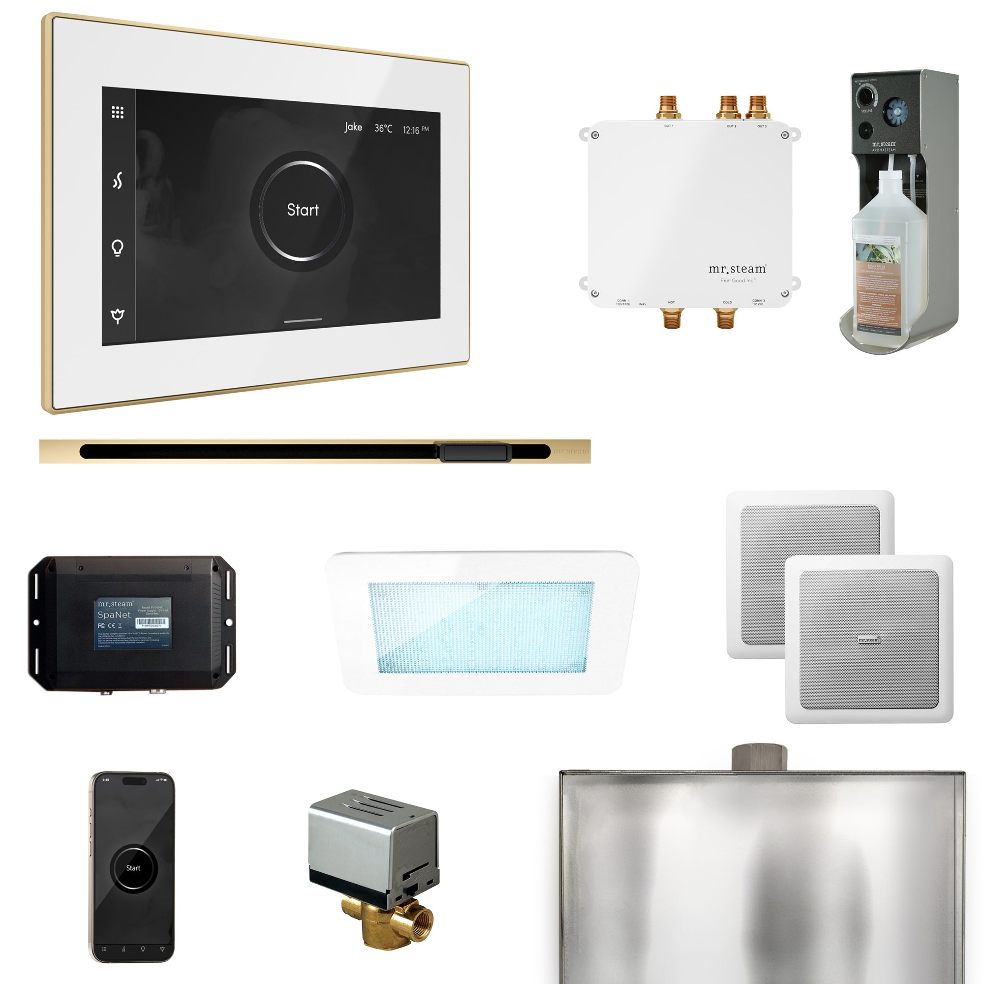 Mr Steam Bliss Steam Shower Control Package with iSteamX Control and Linear Steamhead
