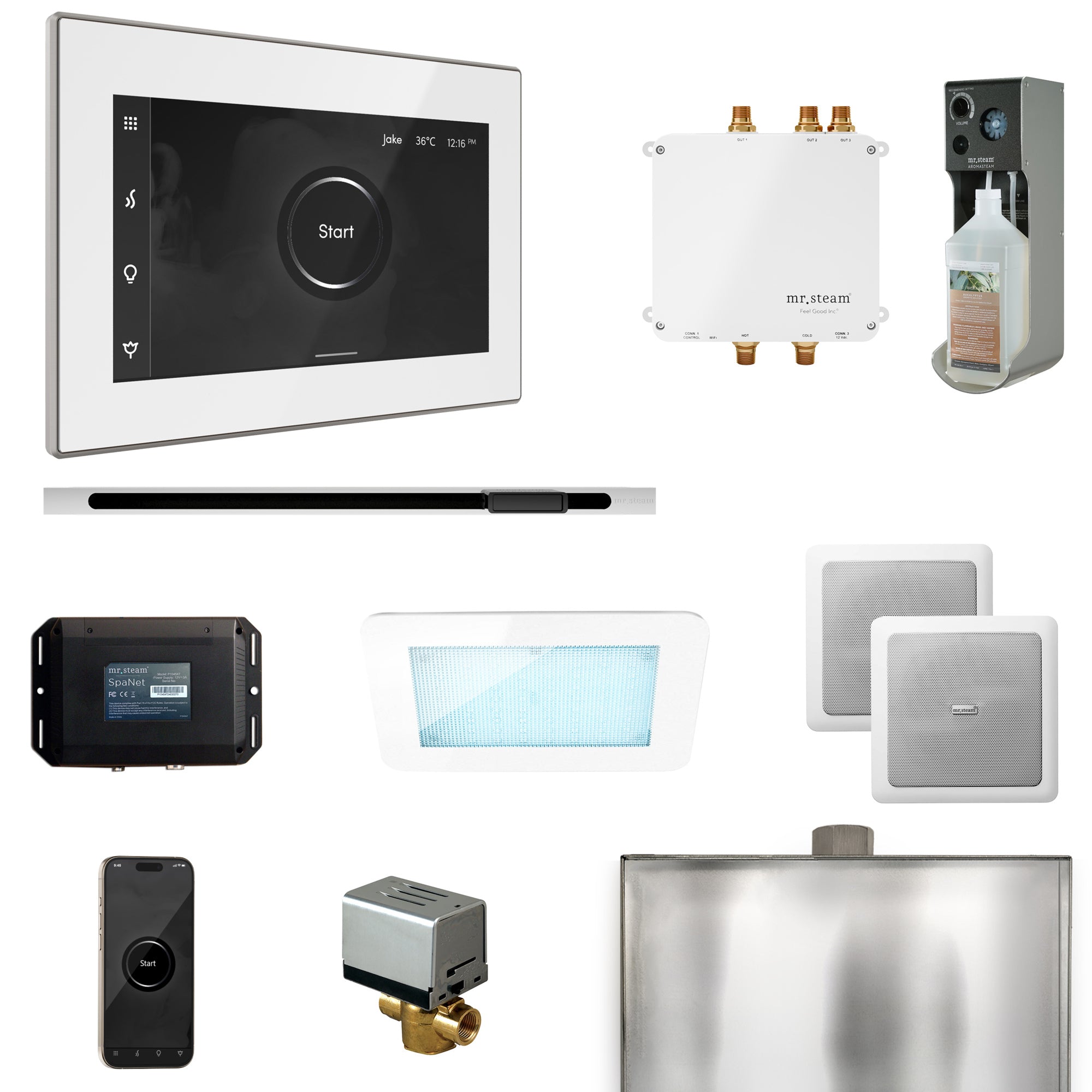 Mr Steam Bliss Steam Shower Control Package with iSteamX Control and Linear Steamhead