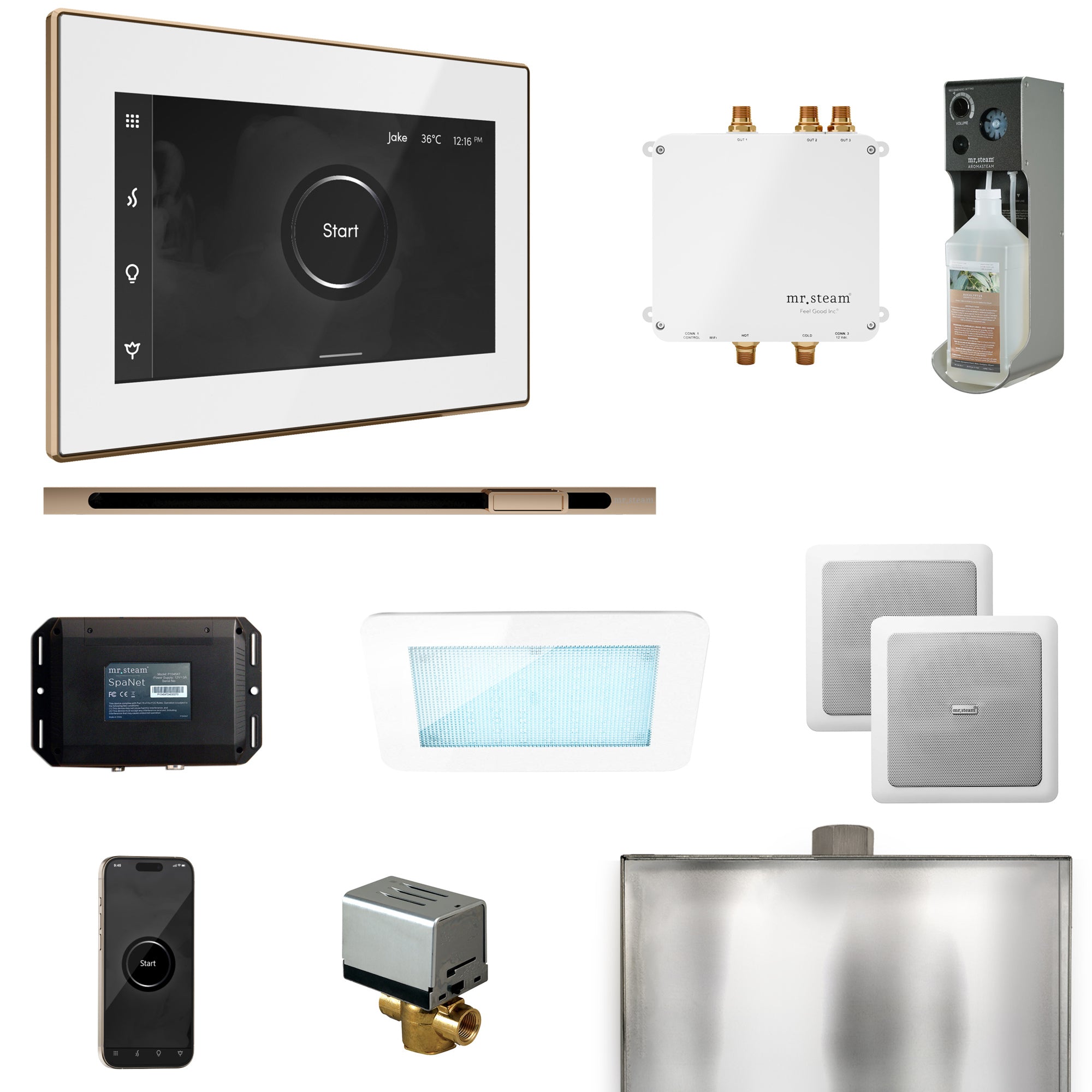 Mr Steam Bliss Steam Shower Control Package with iSteamX Control and Linear Steamhead