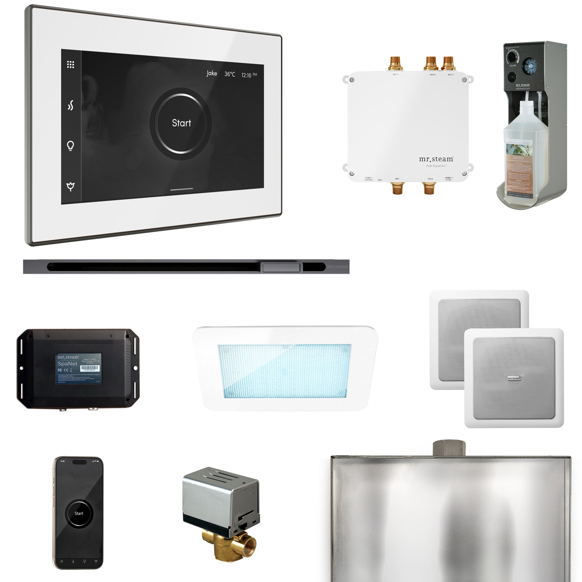 Mr Steam Bliss Steam Shower Control Package with iSteamX Control and Linear Steamhead