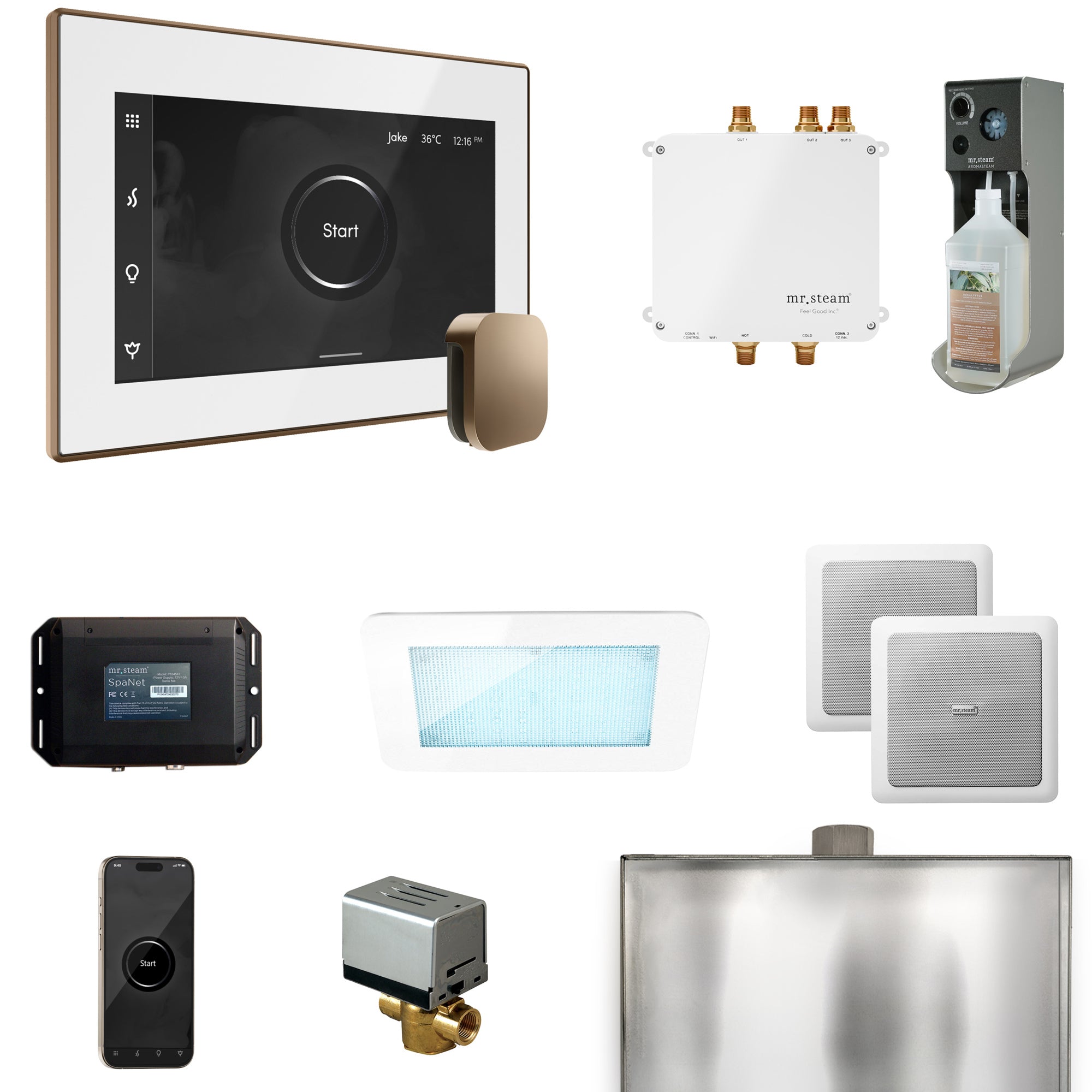 Mr Steam Bliss Steam Shower Control Package with iSteamX Control and Steamhead