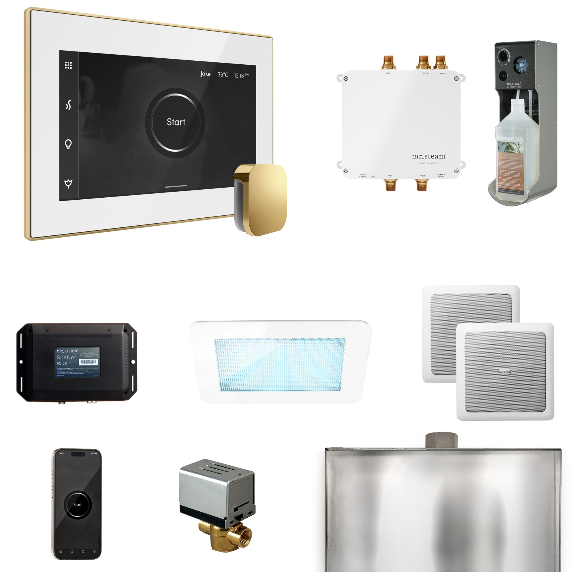 Mr Steam Bliss Steam Shower Control Package with iSteamX Control and Steamhead