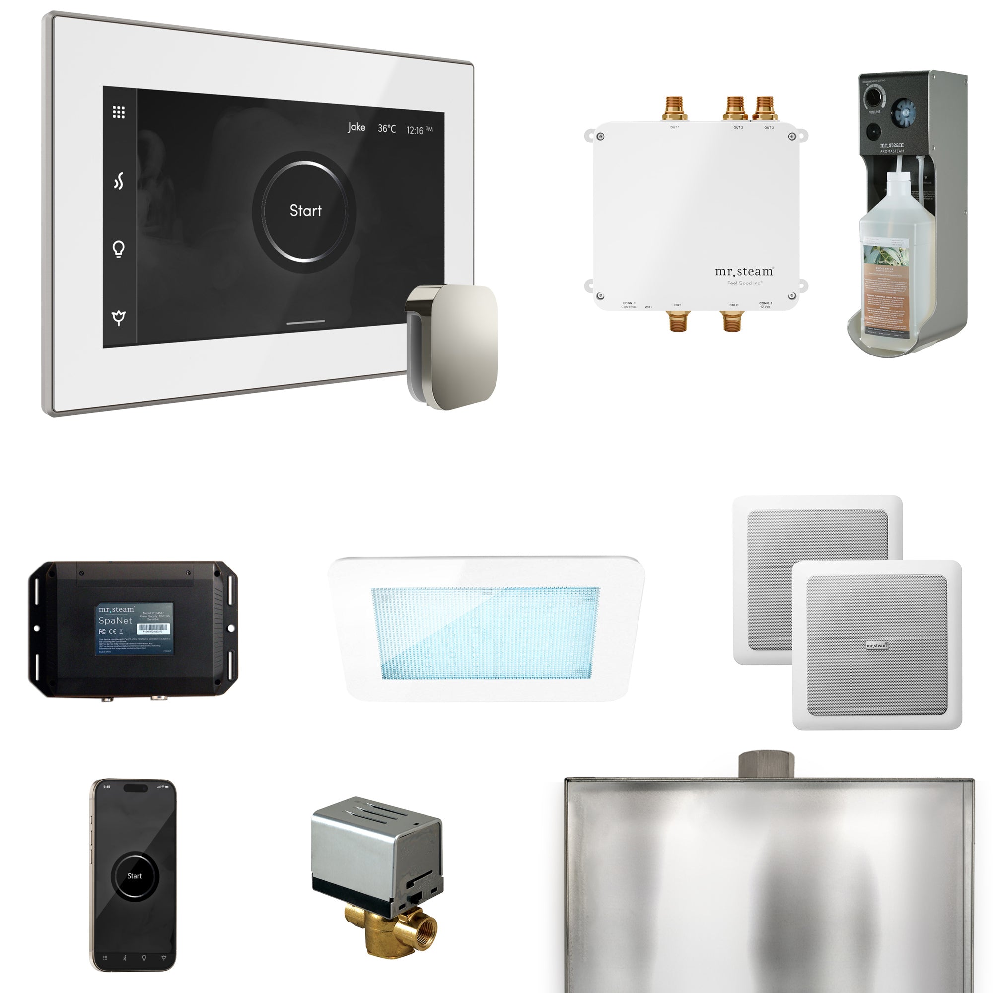 Mr Steam Bliss Steam Shower Control Package with iSteamX Control and Steamhead