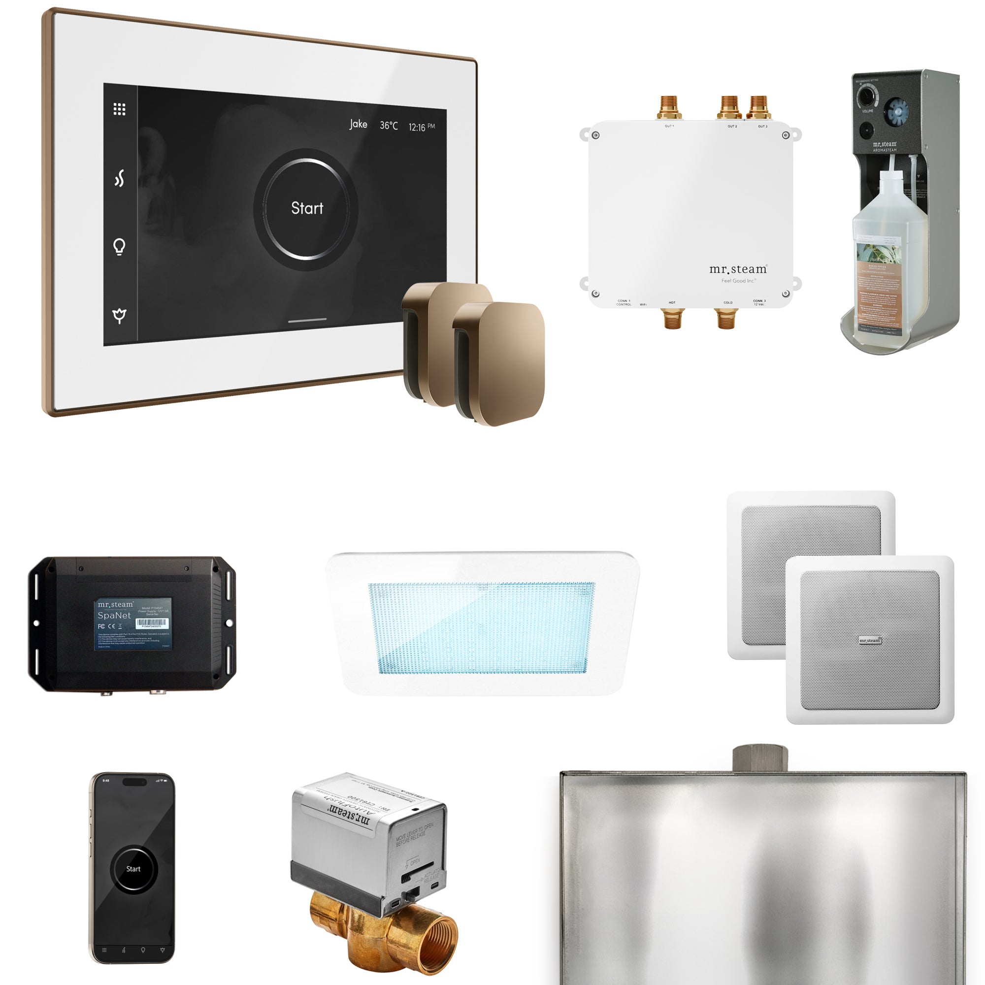 Mr Steam Bliss Max Steam Shower Control Package with iSteamX Control and Steamhead