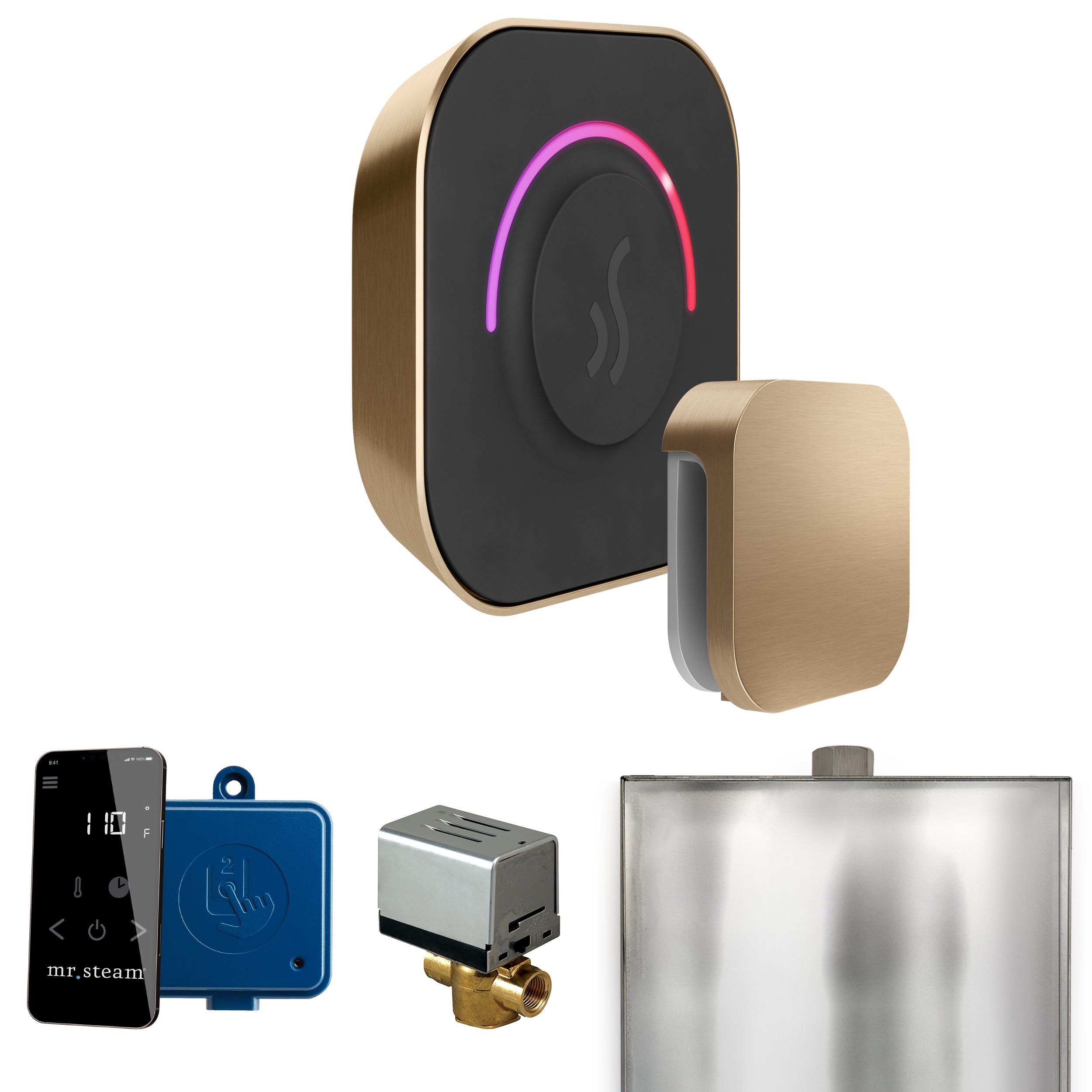 Mr Steam ButlerTouch Steam Shower Control Package with TempoTouch Control and Steamhead