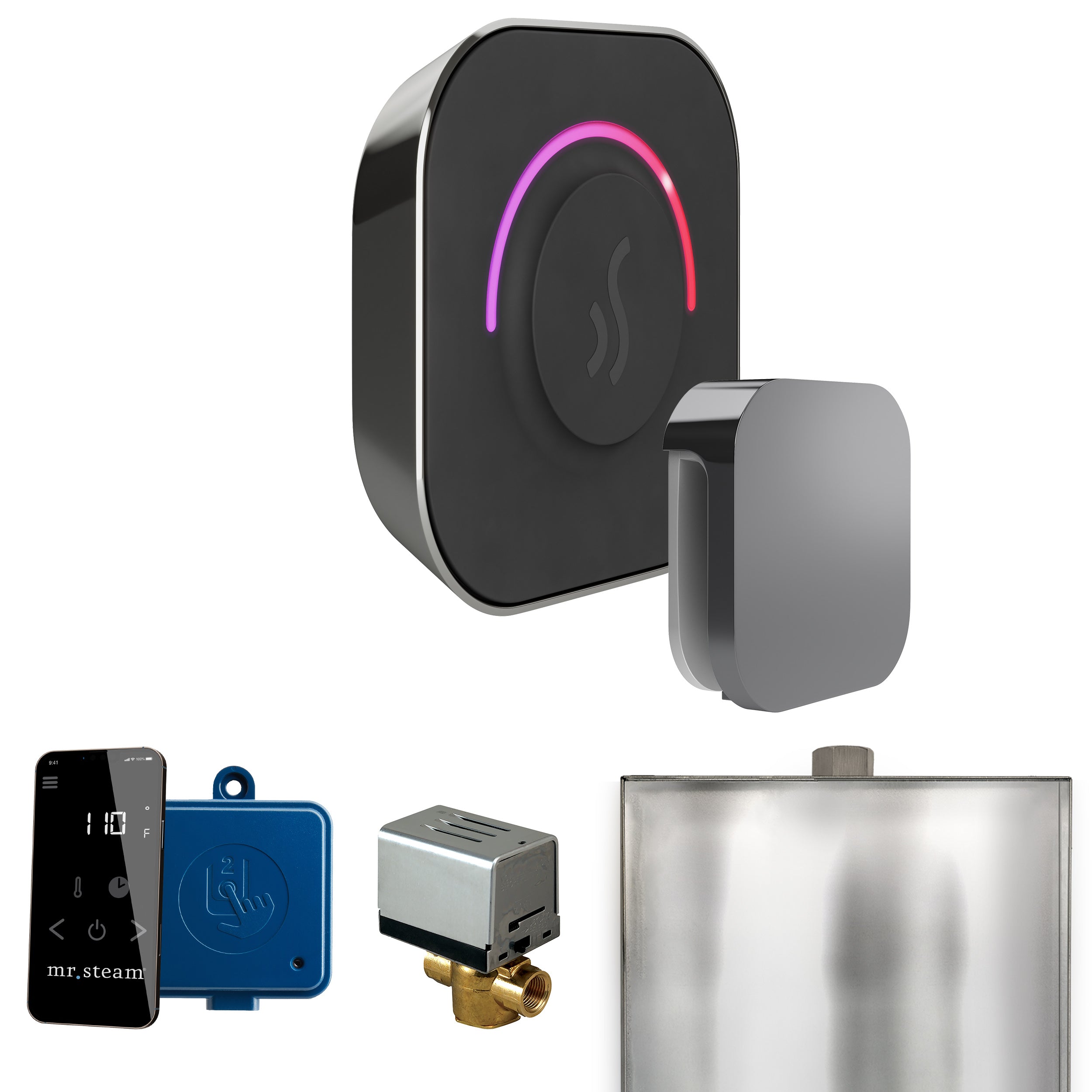 Mr Steam ButlerTouch Steam Shower Control Package with TempoTouch Control and Steamhead