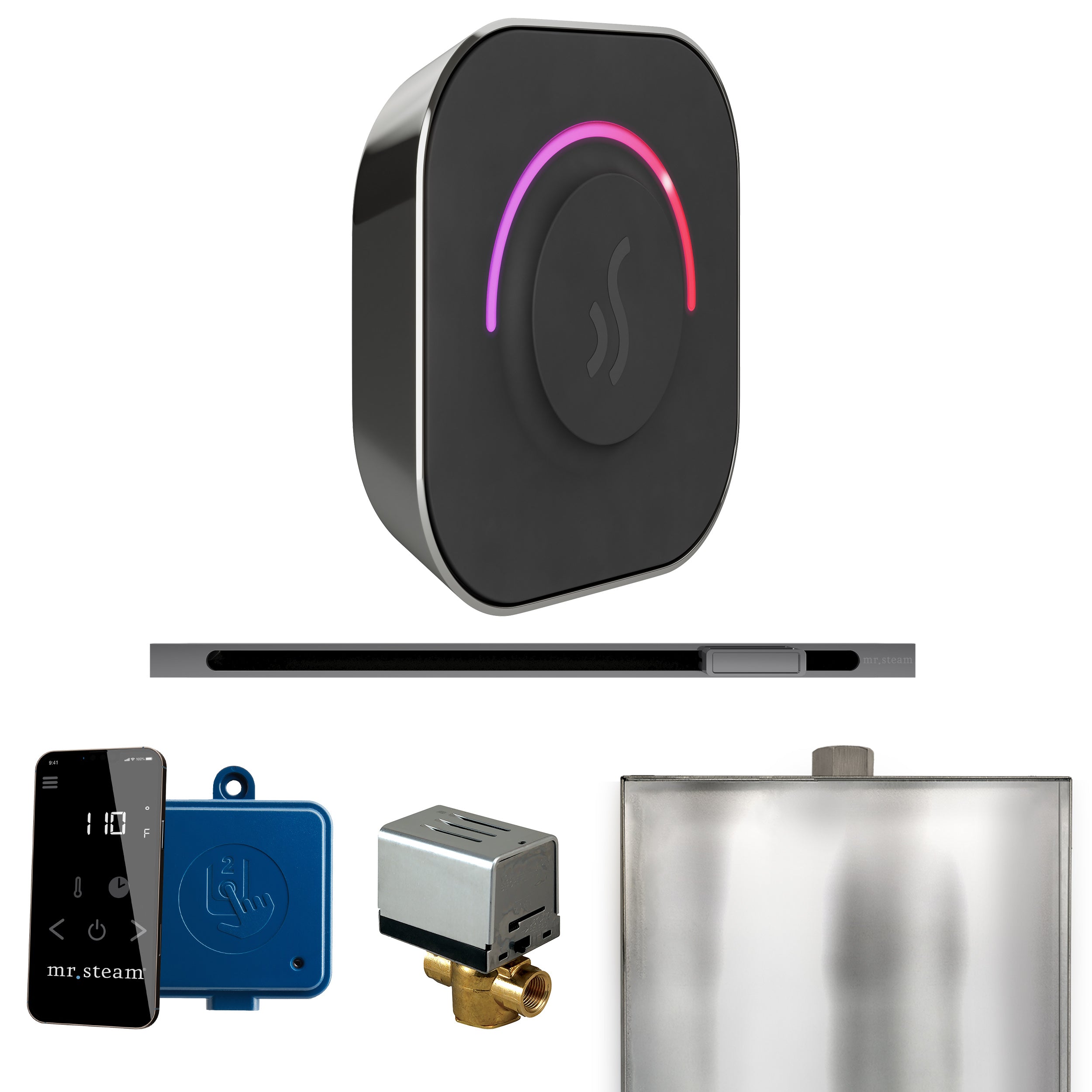 Mr Steam ButlerTouch Steam Shower Control Package with TempoTouch Control and Linear Steamhead