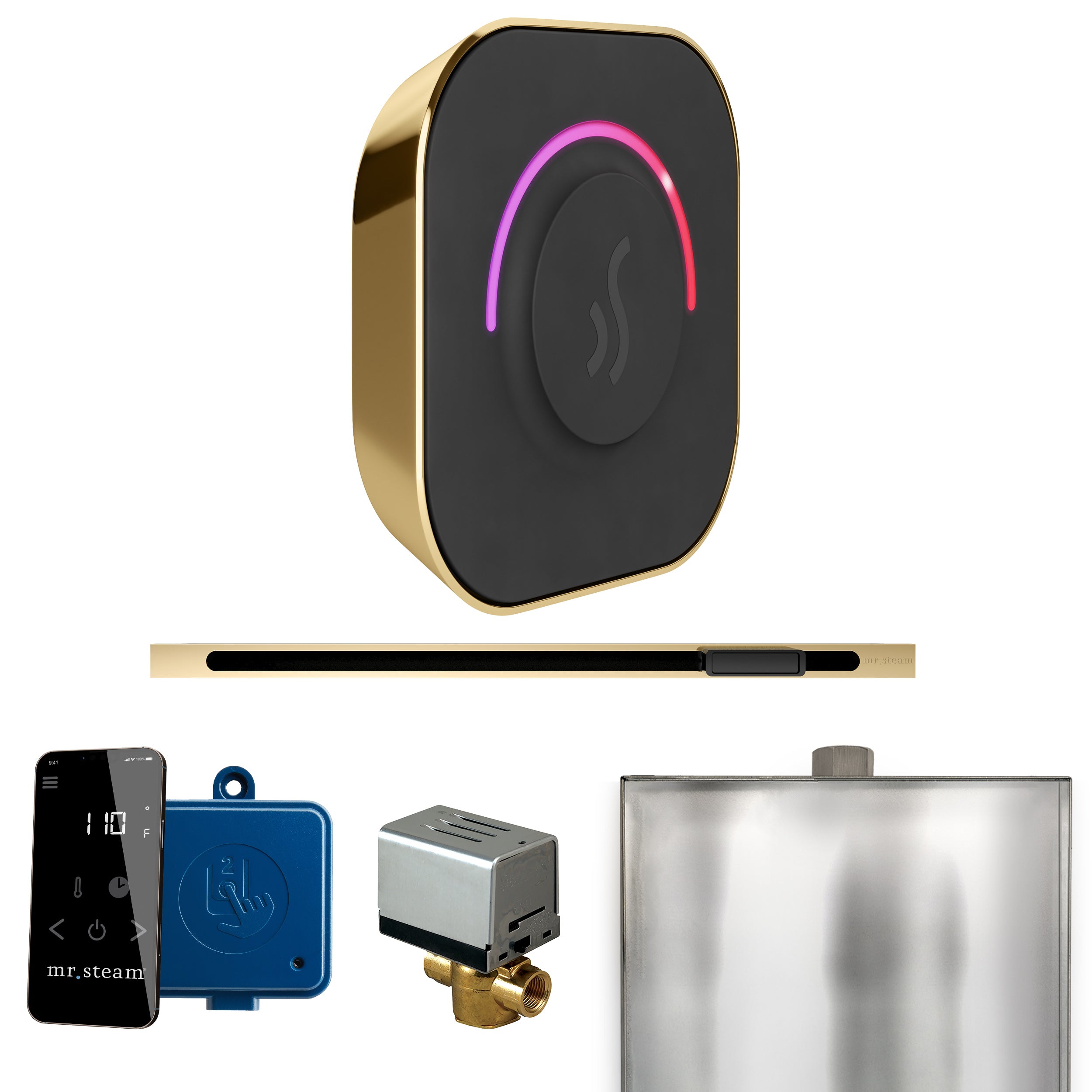 Mr Steam ButlerTouch Steam Shower Control Package with TempoTouch Control and Linear Steamhead