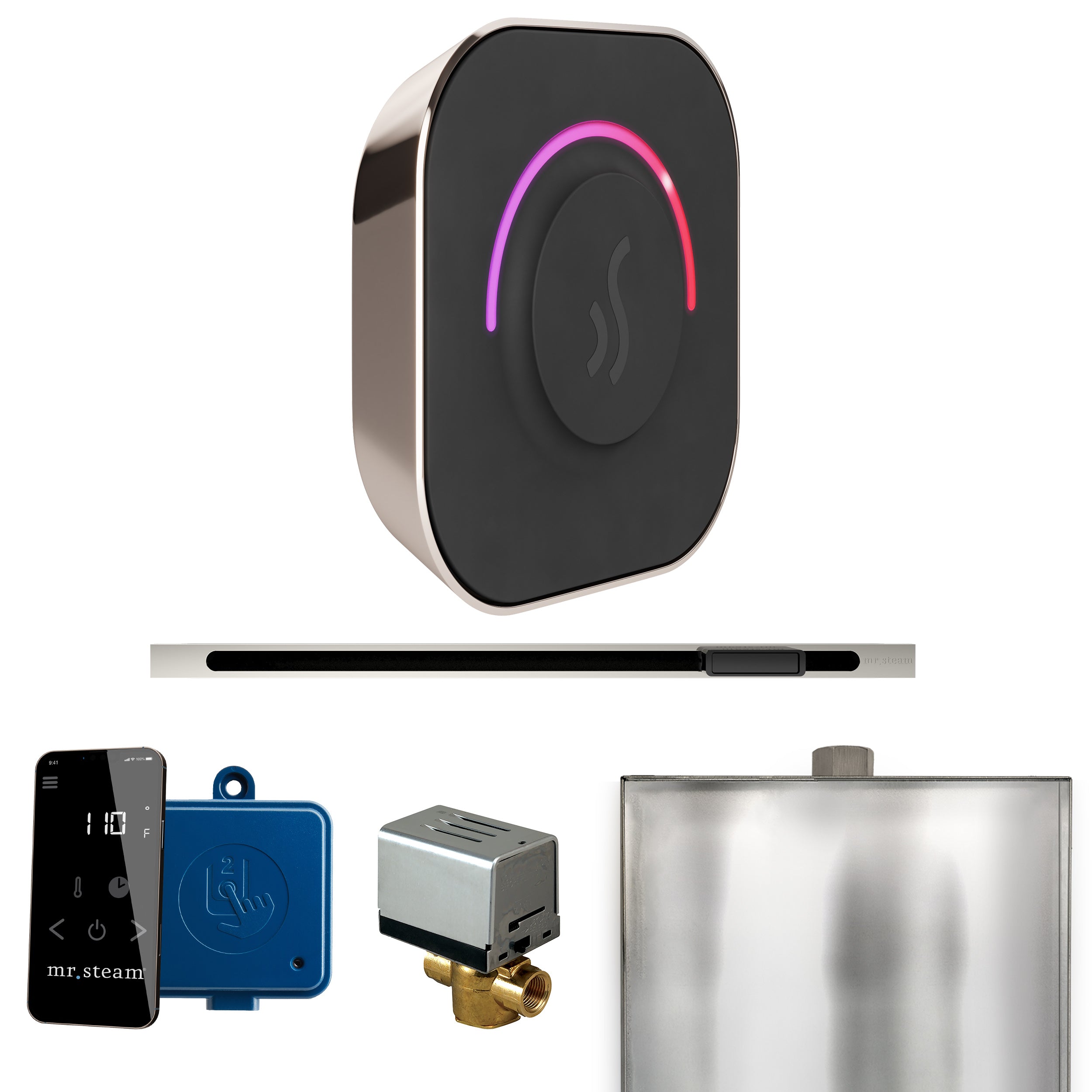 Mr Steam ButlerTouch Steam Shower Control Package with TempoTouch Control and Linear Steamhead