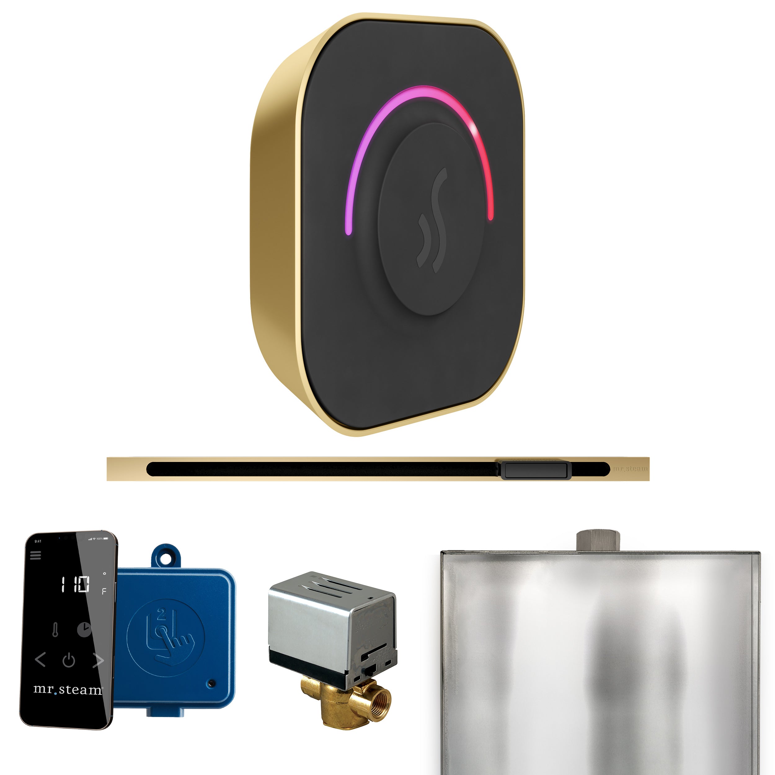 Mr Steam ButlerTouch Steam Shower Control Package with TempoTouch Control and Linear Steamhead