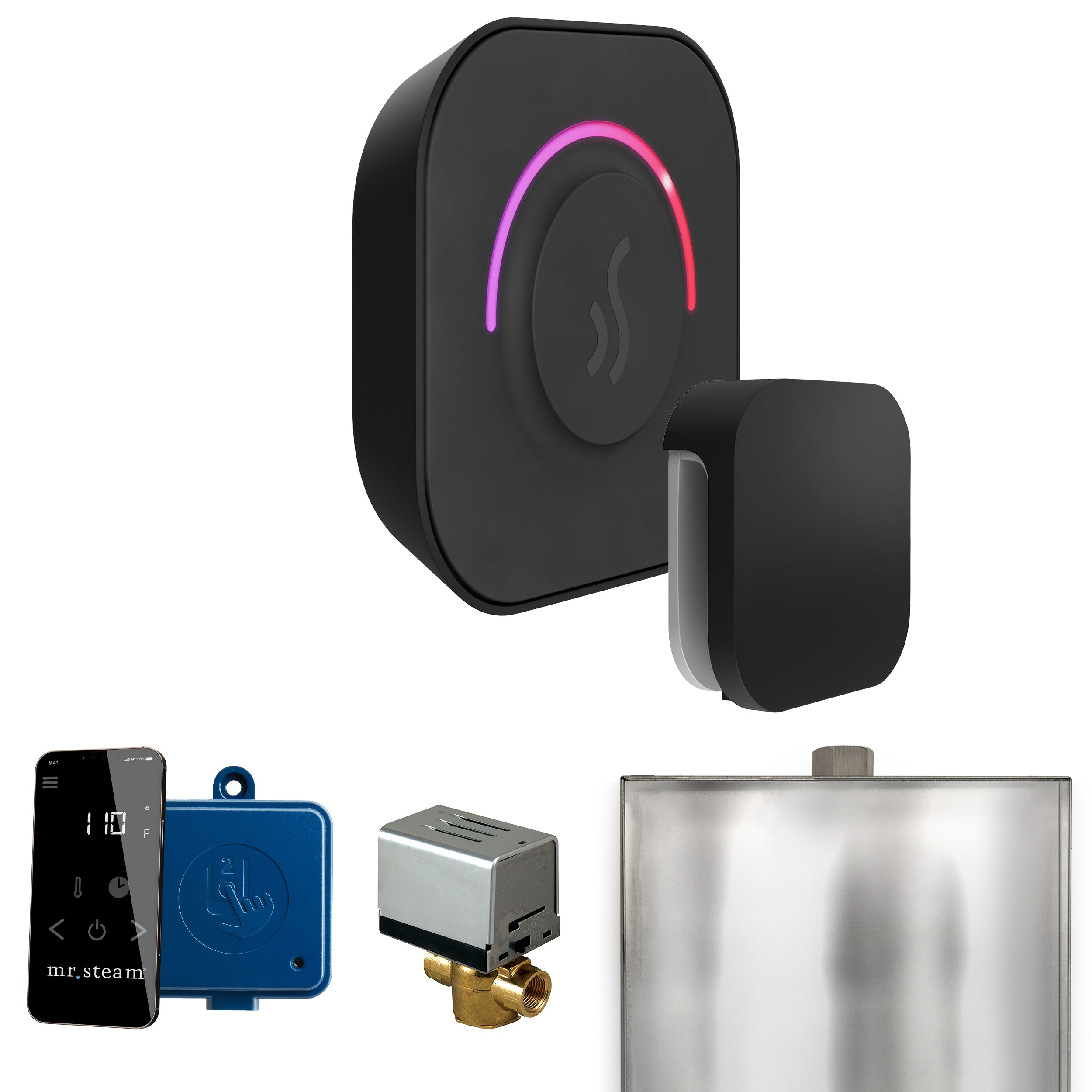 Mr Steam ButlerTouch Steam Shower Control Package with TempoTouch Control and Steamhead