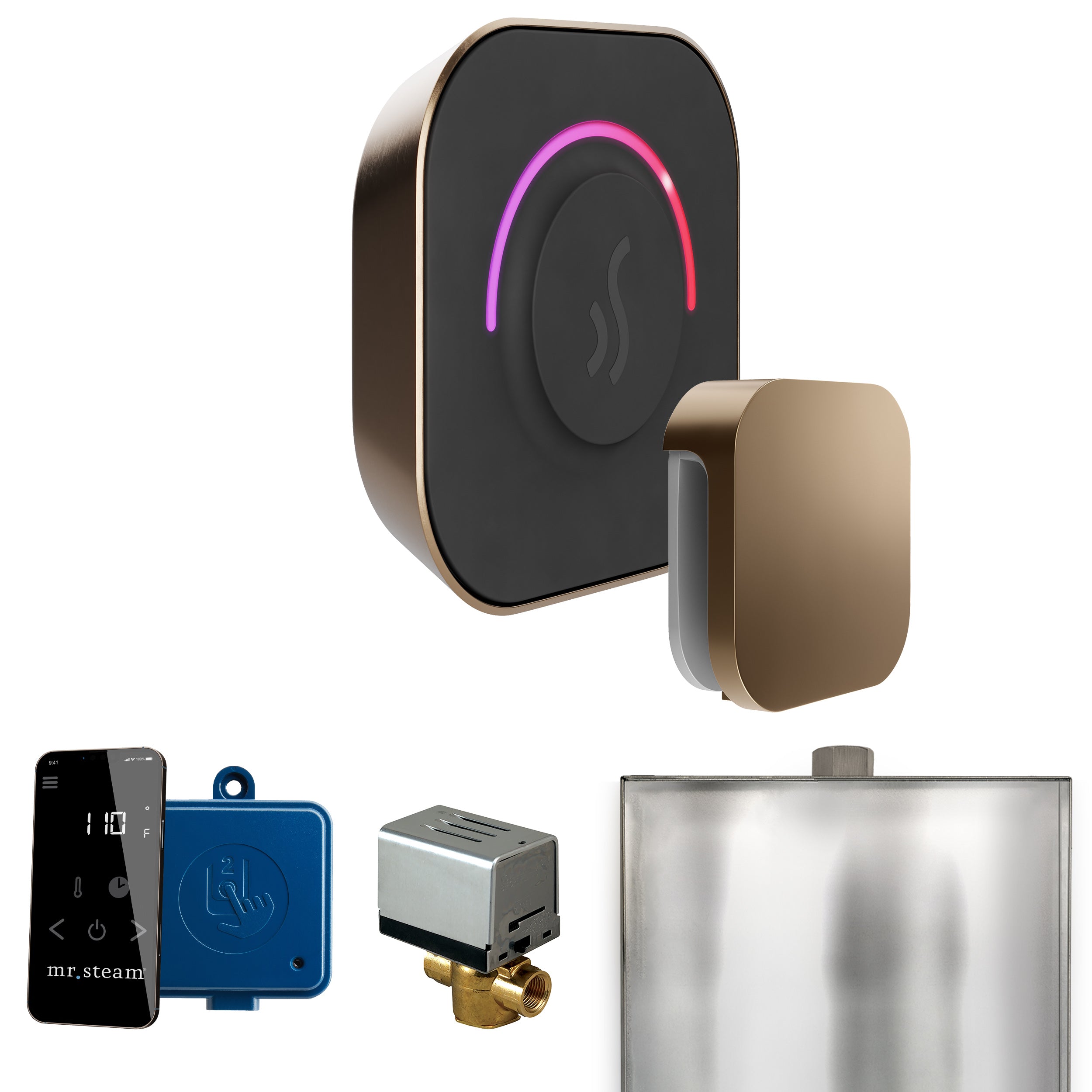 Mr Steam ButlerTouch Steam Shower Control Package with TempoTouch Control and Steamhead