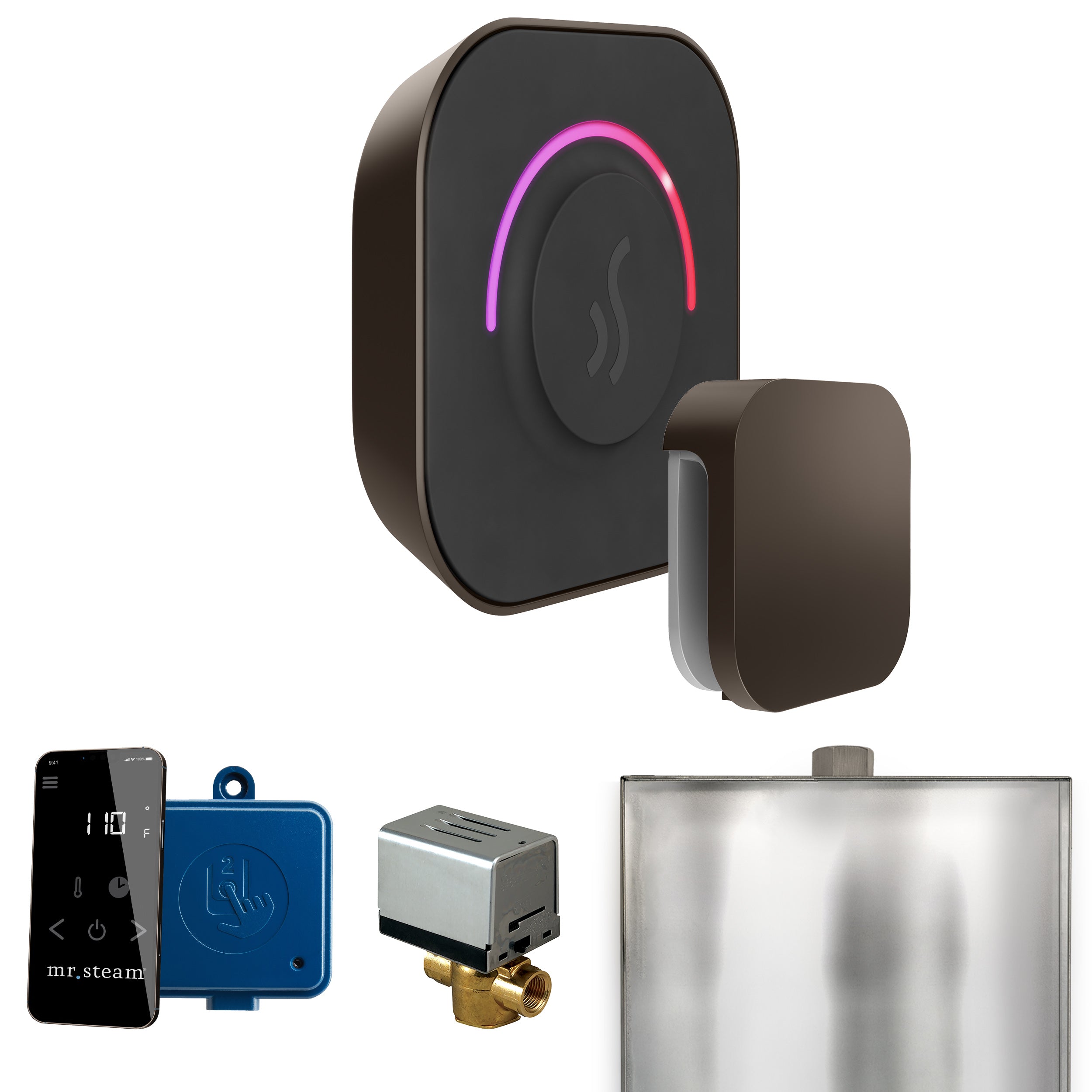 Mr Steam ButlerTouch Steam Shower Control Package with TempoTouch Control and Steamhead