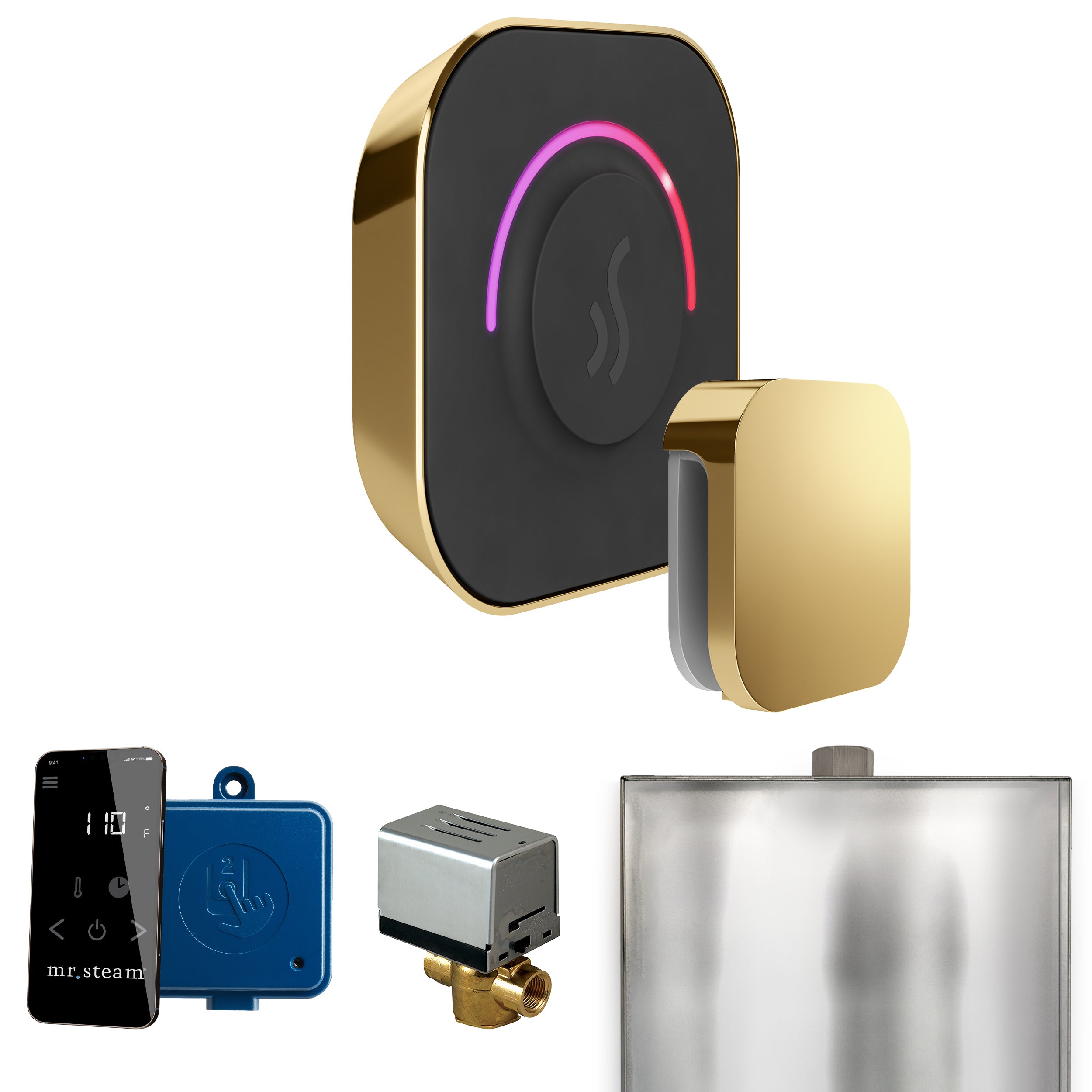 Mr Steam ButlerTouch Steam Shower Control Package with TempoTouch Control and Steamhead