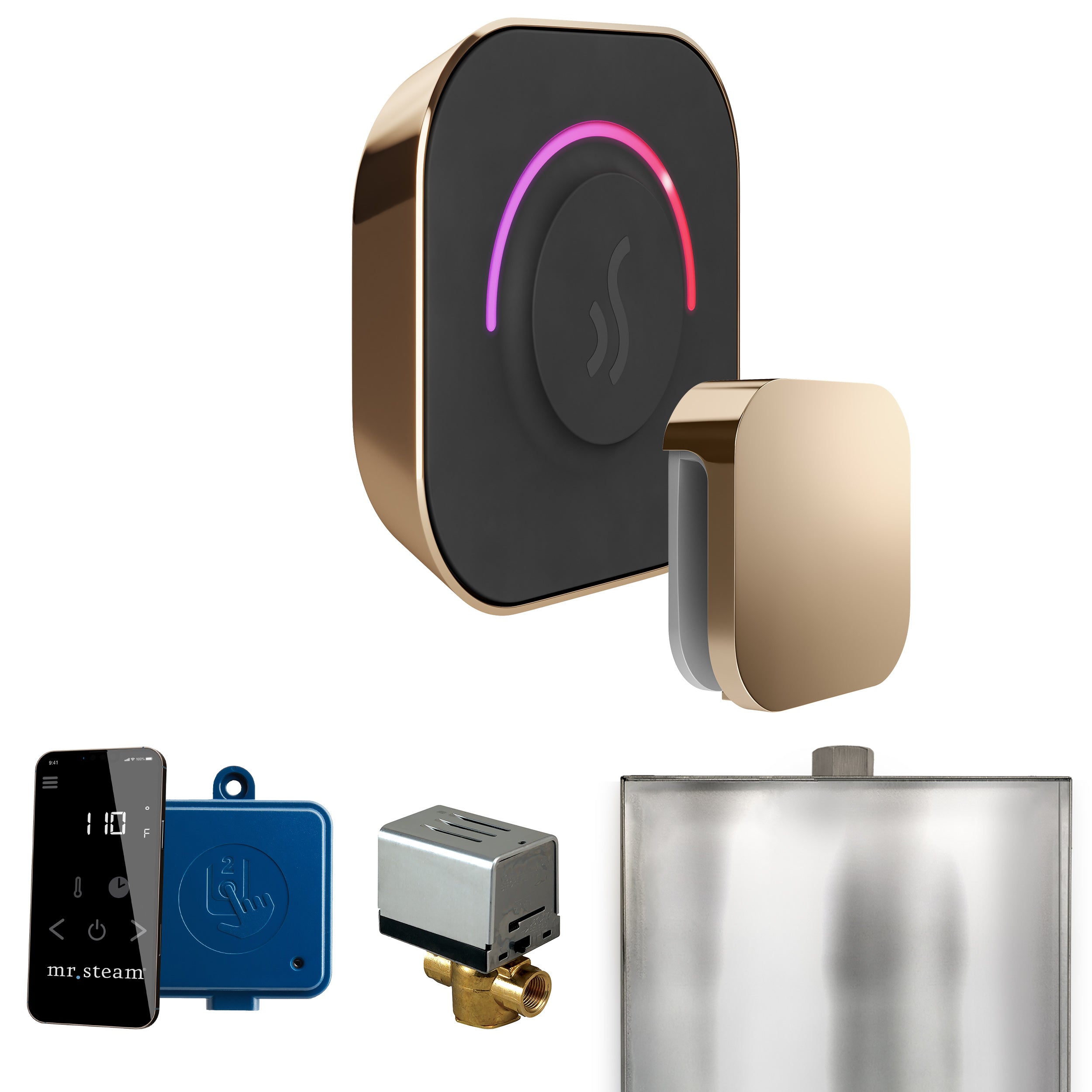 Mr Steam ButlerTouch Steam Shower Control Package with TempoTouch Control and Steamhead