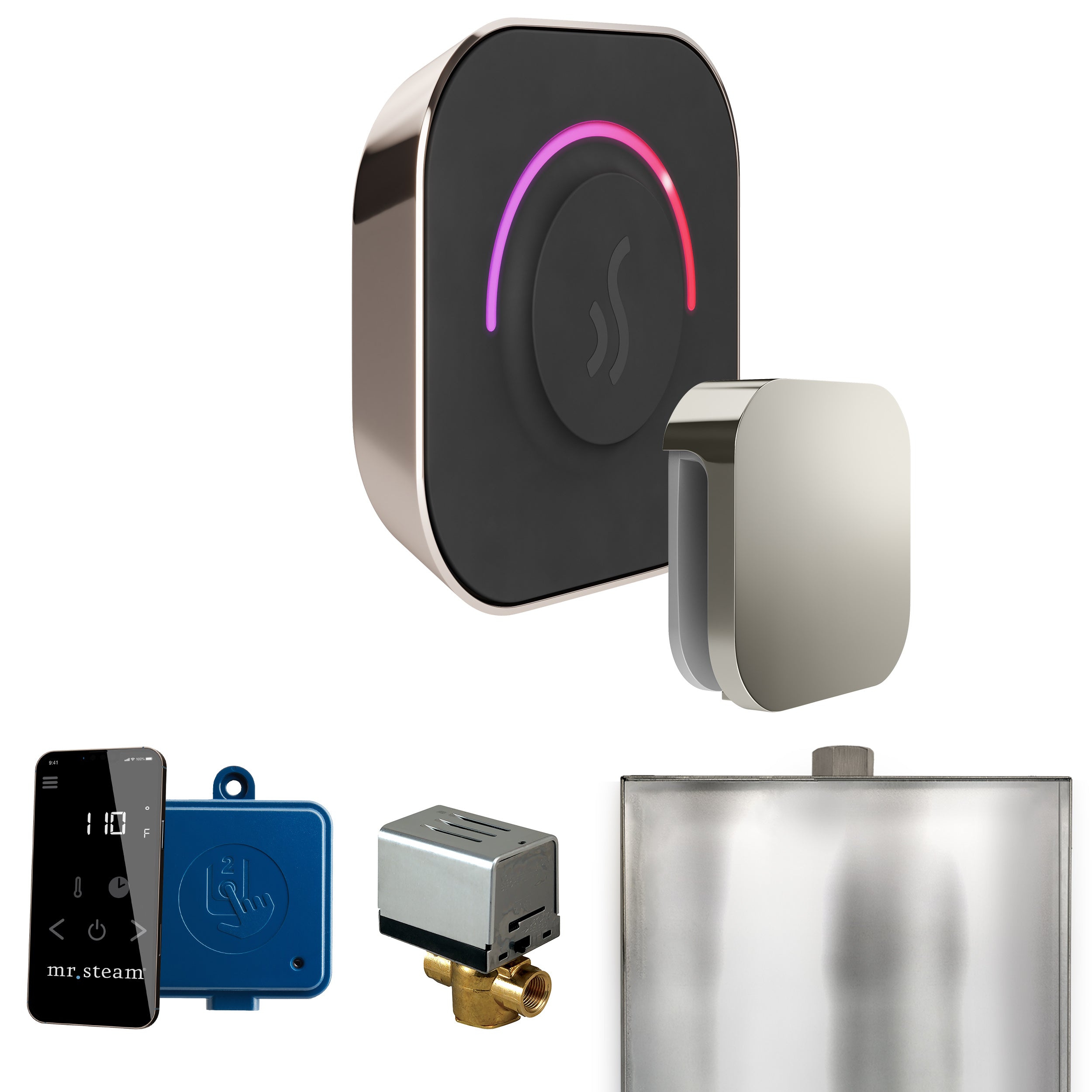 Mr Steam ButlerTouch Steam Shower Control Package with TempoTouch Control and Steamhead