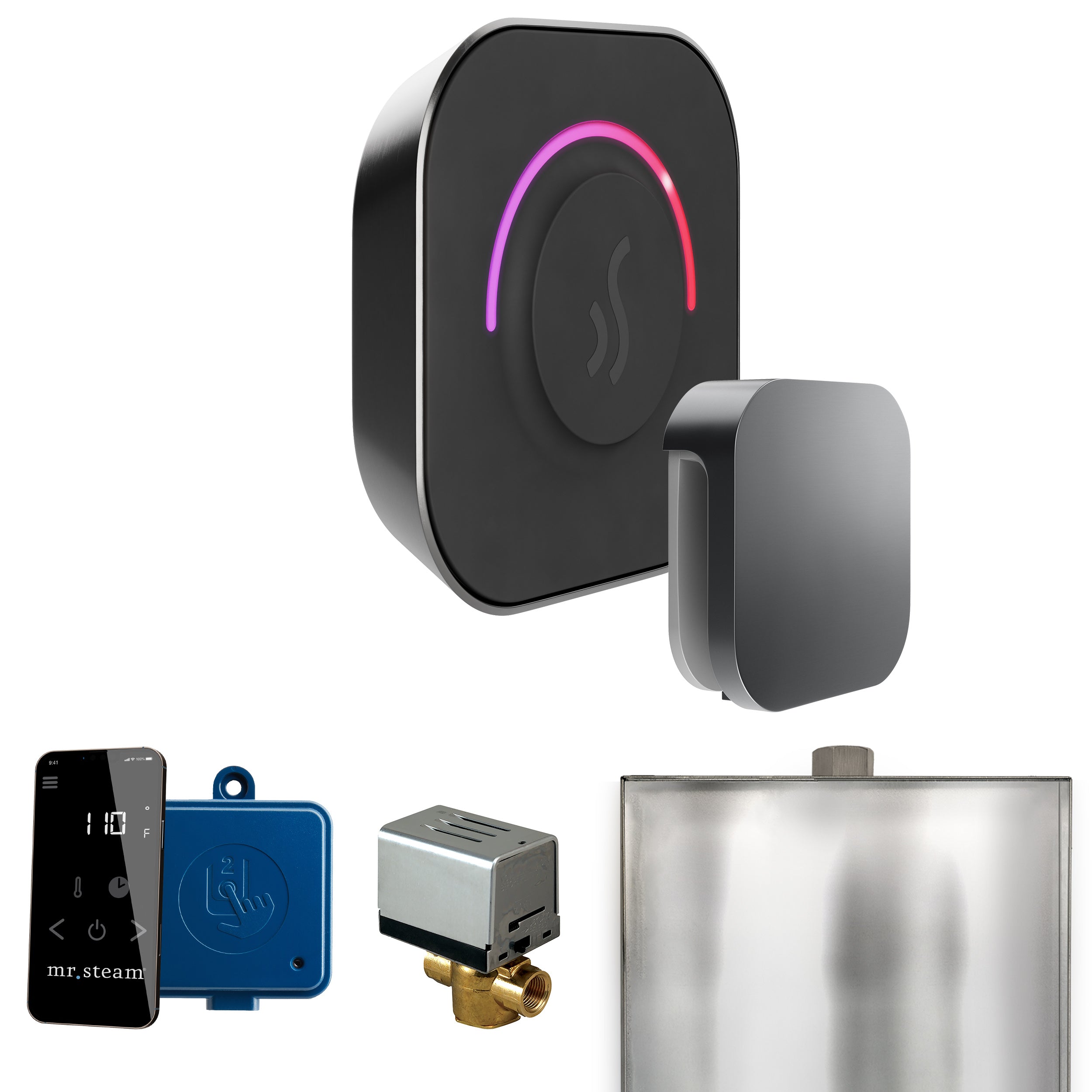 Mr Steam ButlerTouch Steam Shower Control Package with TempoTouch Control and Steamhead