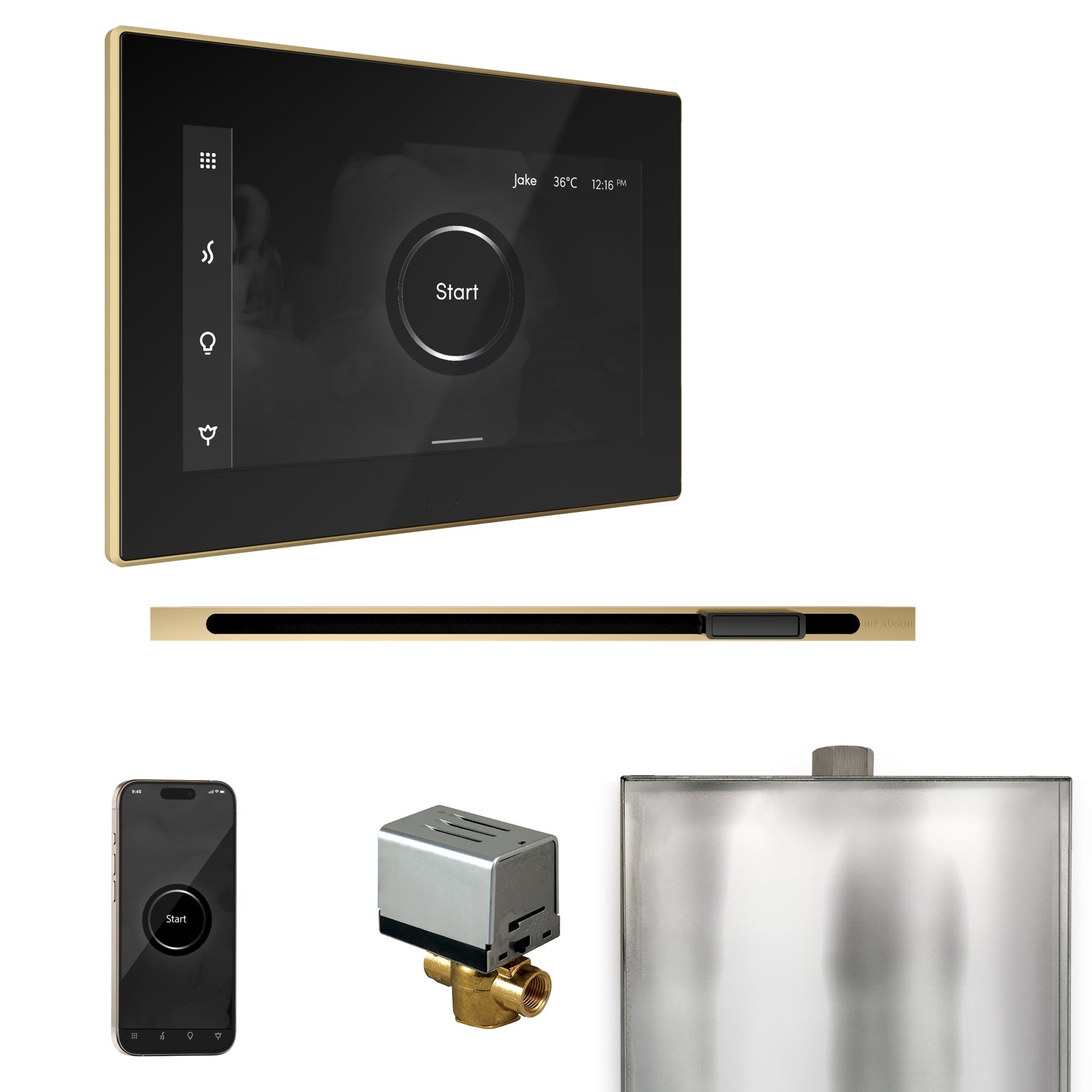 Mr Steam XButler Steam Shower Control Package with iSteamX Control and Linear Steamhead