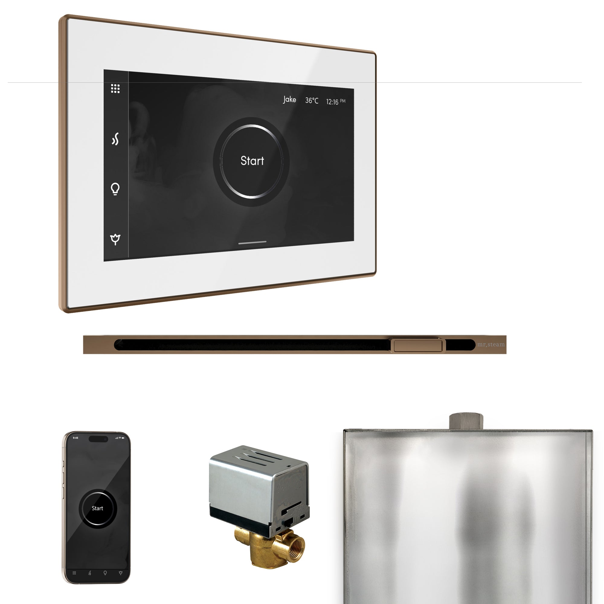 Mr Steam XButler Steam Shower Control Package with iSteamX Control and Linear Steamhead